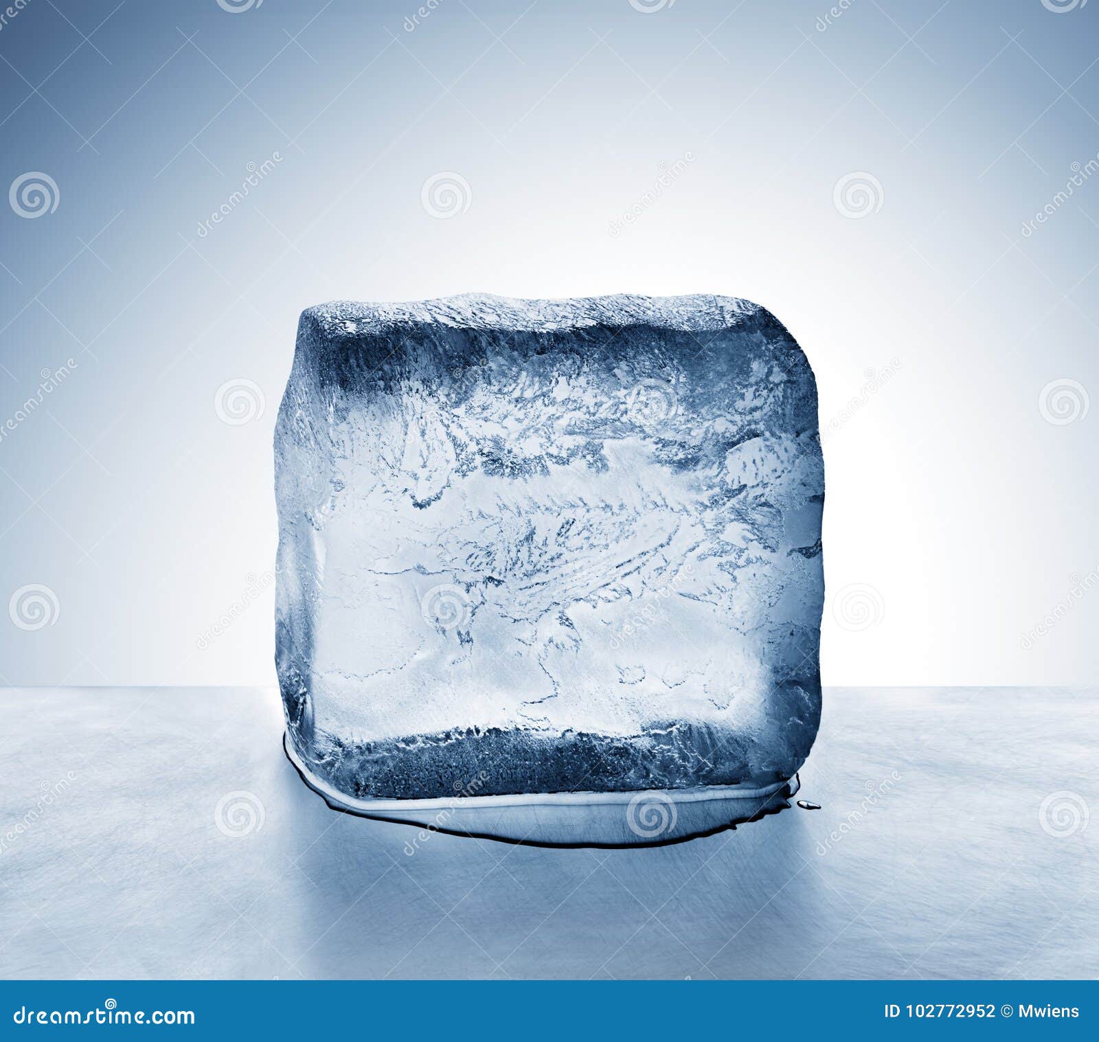 Block O Ice Cube