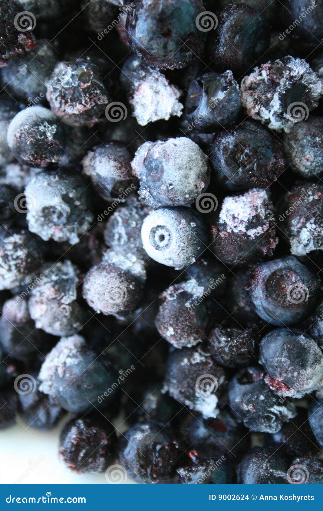 Frozen blueberries stock photo. Image of food, small, colour 9002624