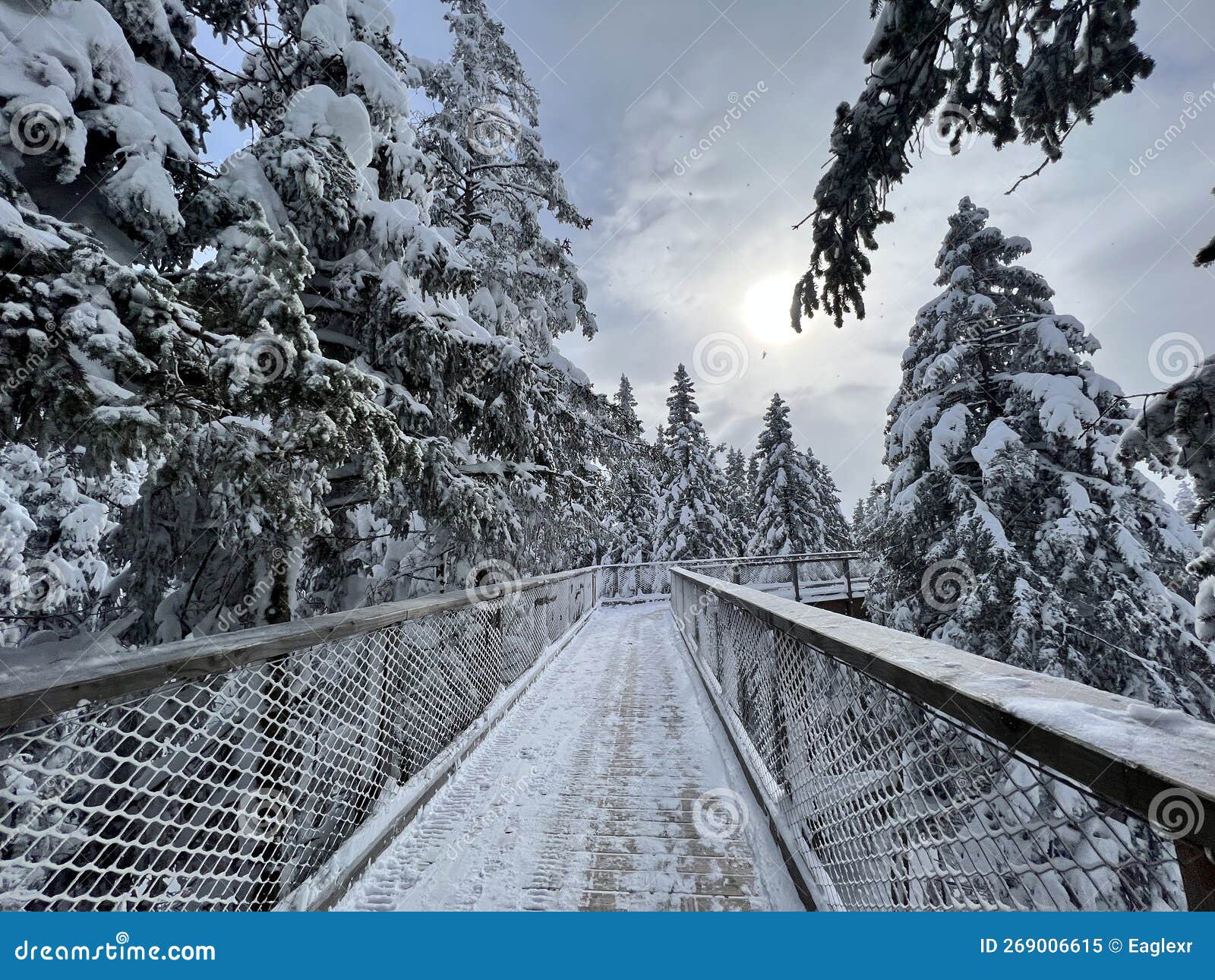 Frozen bridge over woods stock image. Image of icycle 269006615