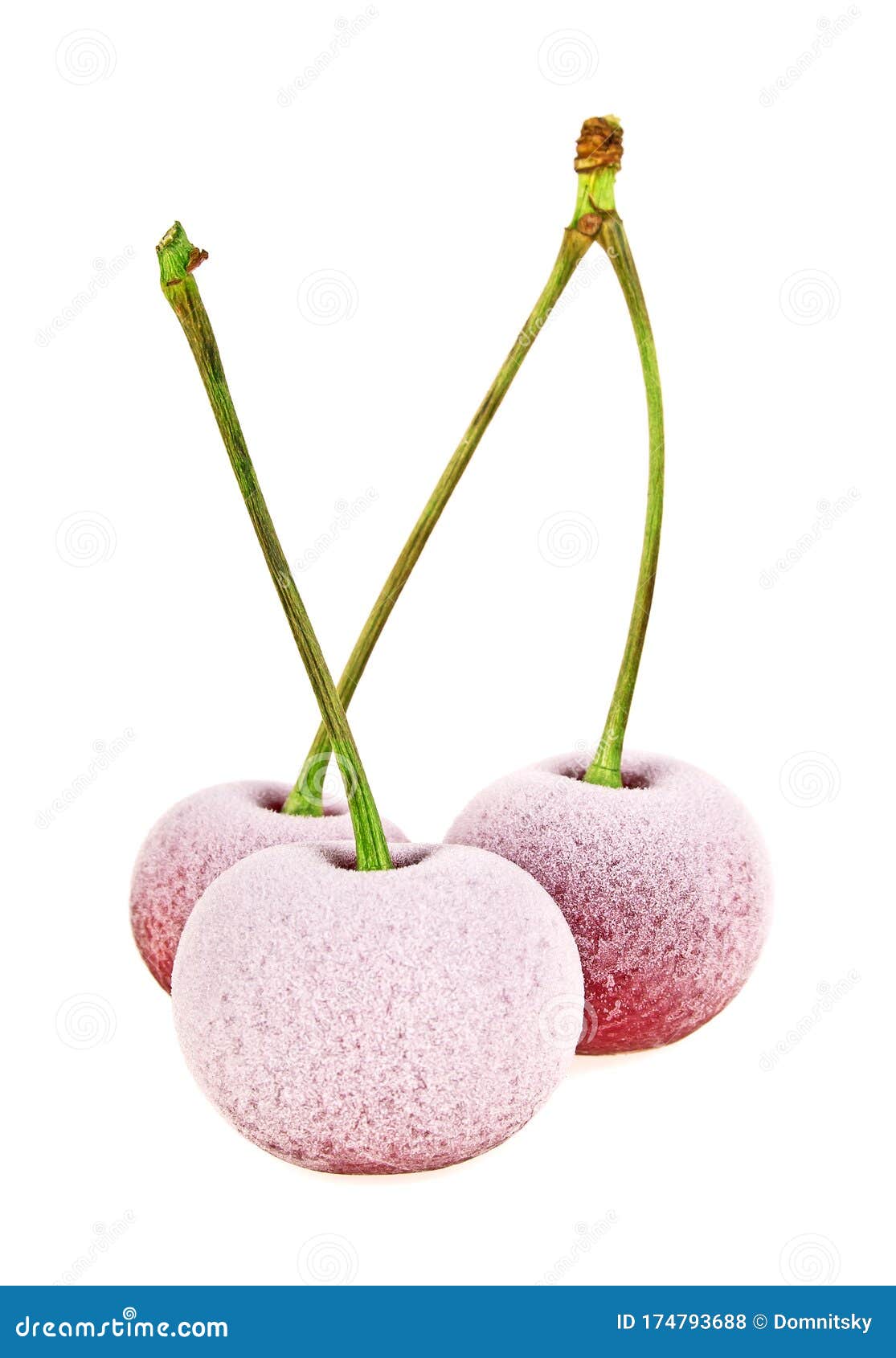 Frozen Cherries Isolated on White Backgroound Stock Photo Image of isolated, pair 174793688