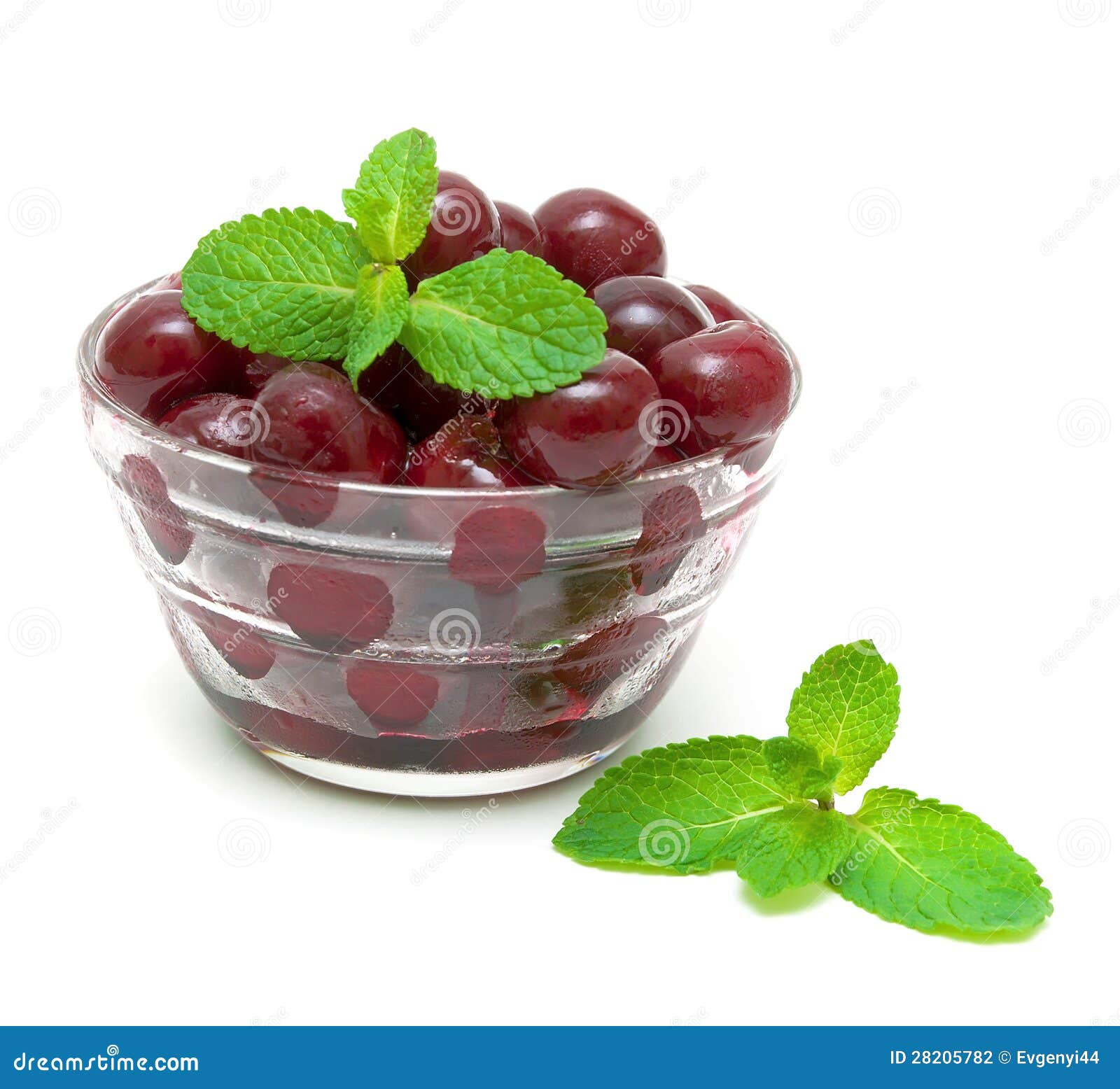 mint sprigs mint sprigs