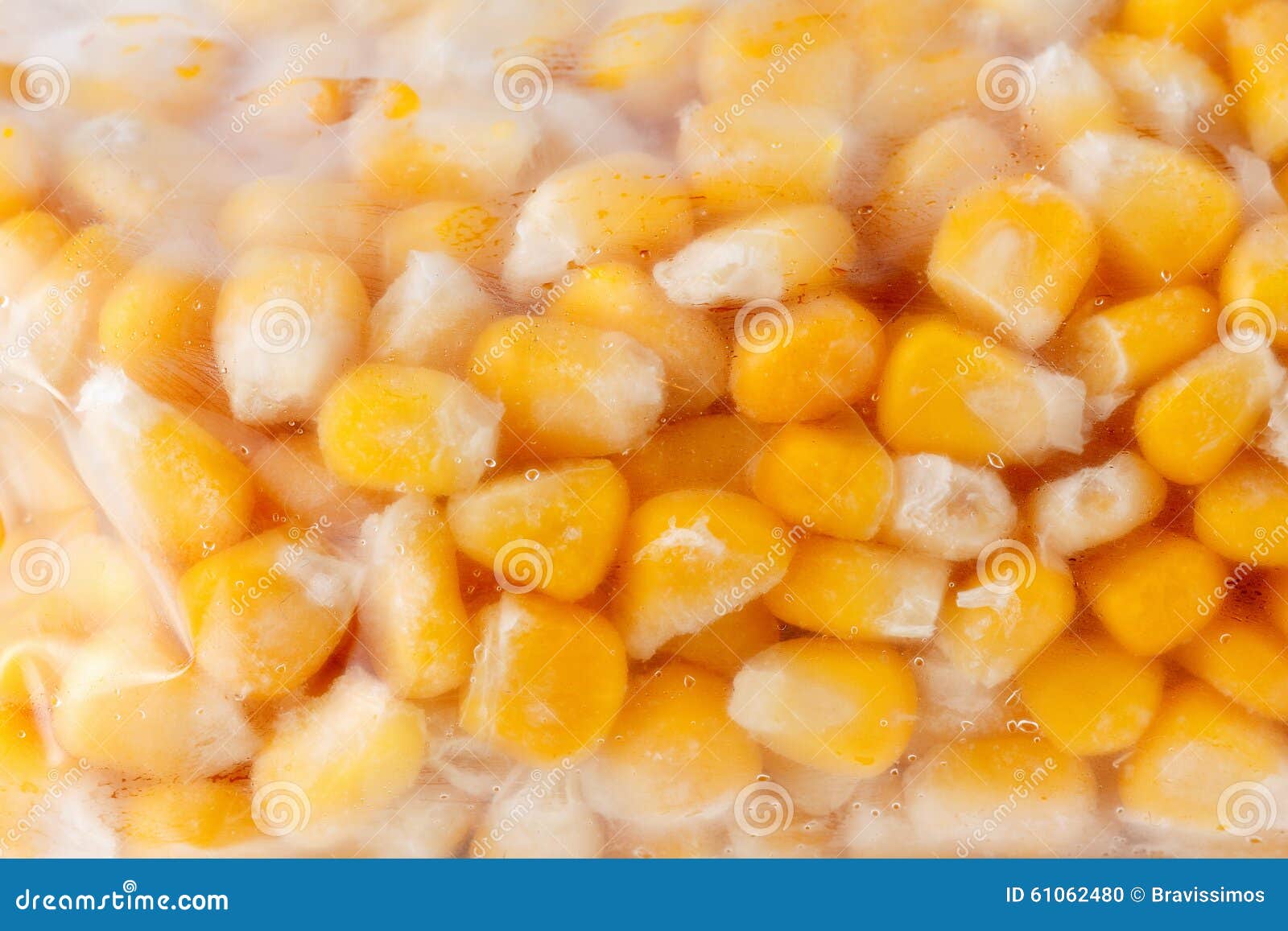 Frozen Corn in a Plastic Bag Stock Photo Image of cold, maize 61062480