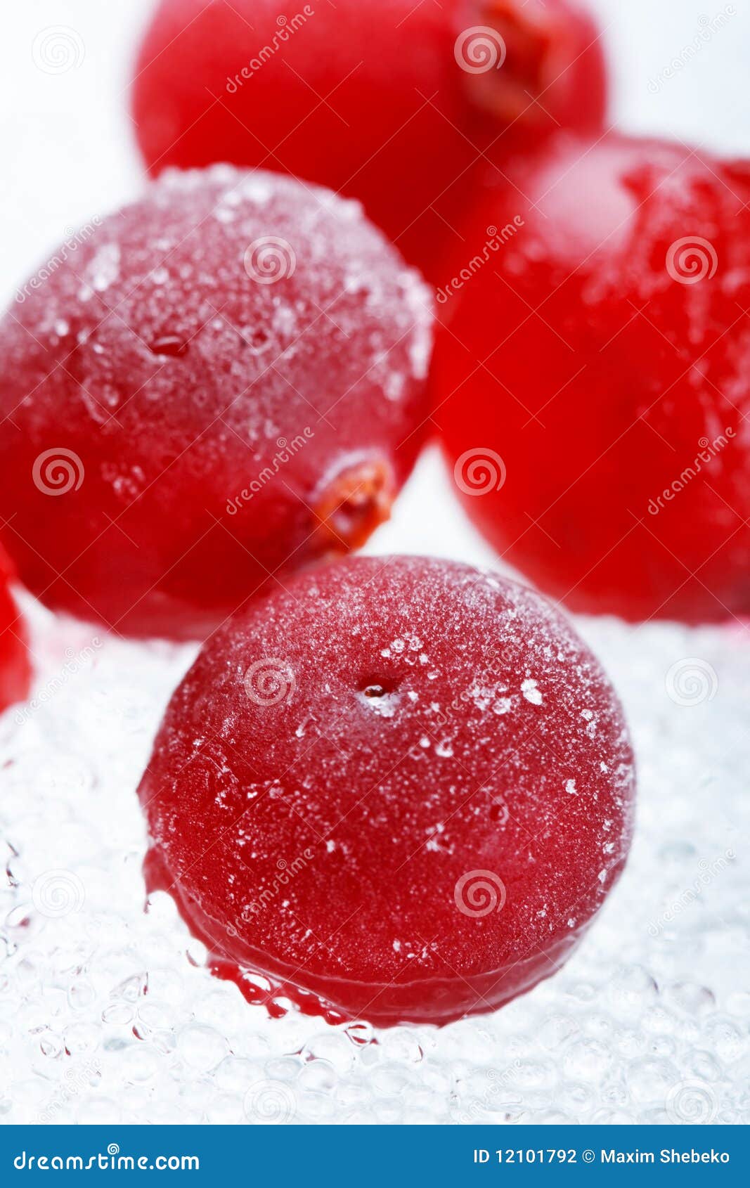 Frozen cranberries stock photo. Image of frozen, component 12101792