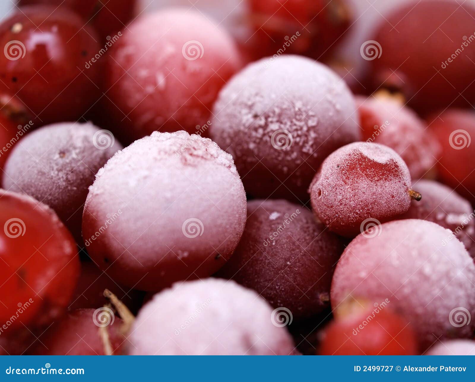 Frozen cranberries stock image. Image of pile, cool, winter 2499727