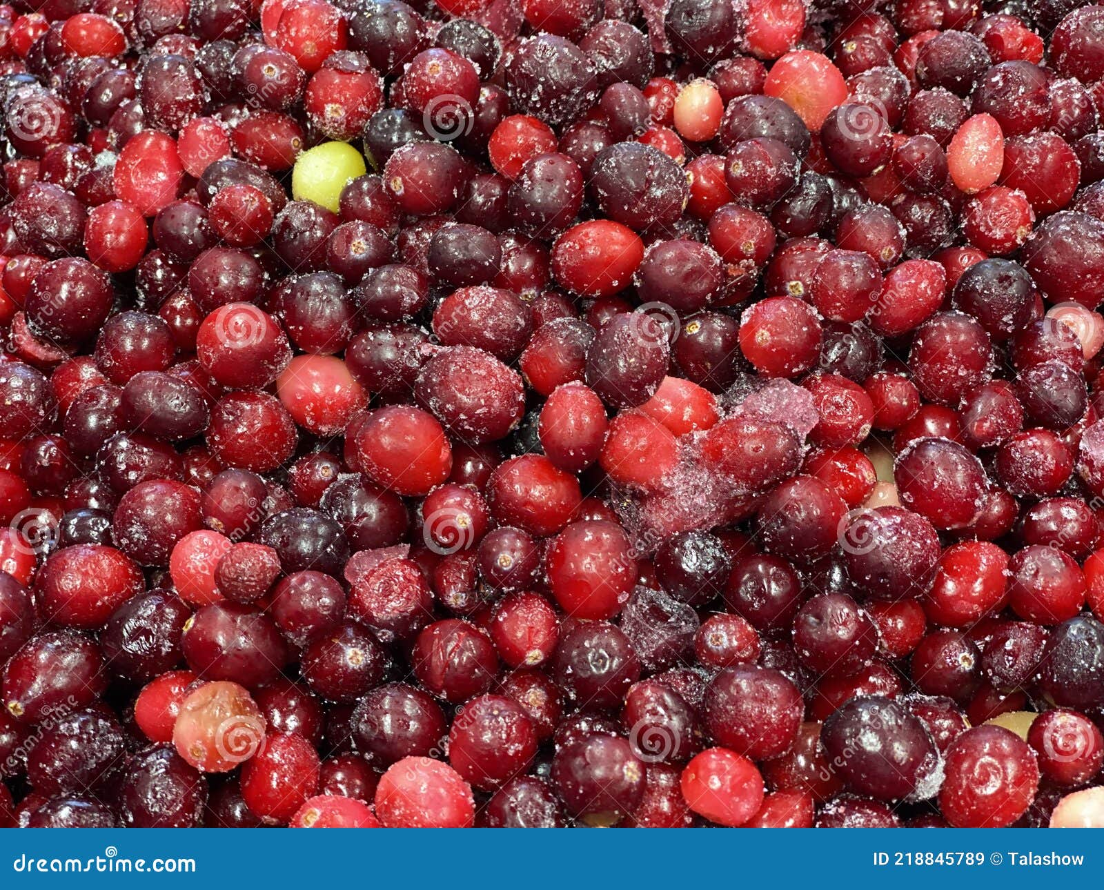 Frozen Cranberries Closeup in the Store Stock Image Image of fresh