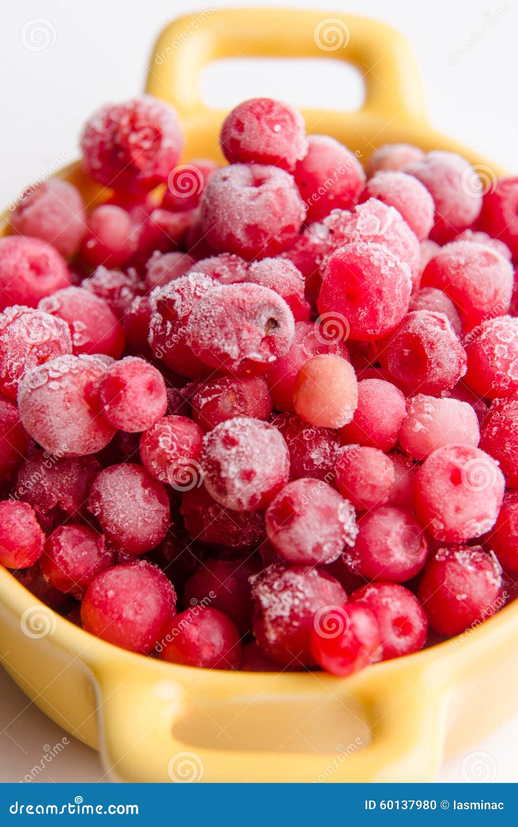 Frozen cranberries stock photo. Image of cranberries 60137980