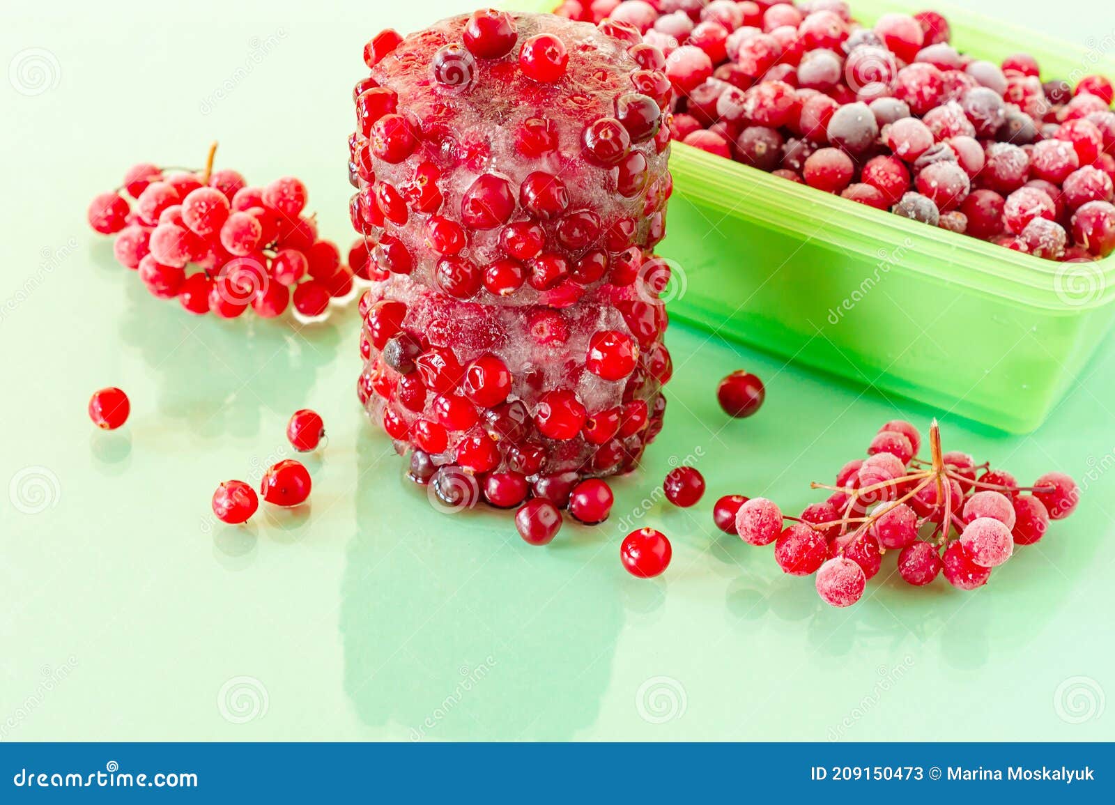 Frozen Cranberries. Frozen Organic Berries for Desserts and Bakery