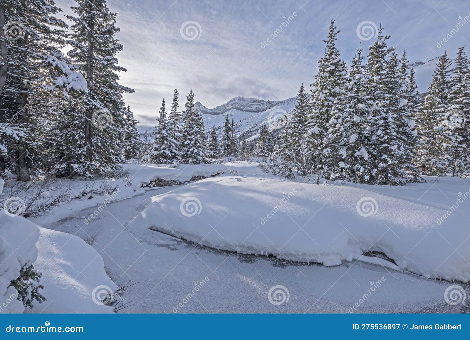 frozen creek at bow lake in banff