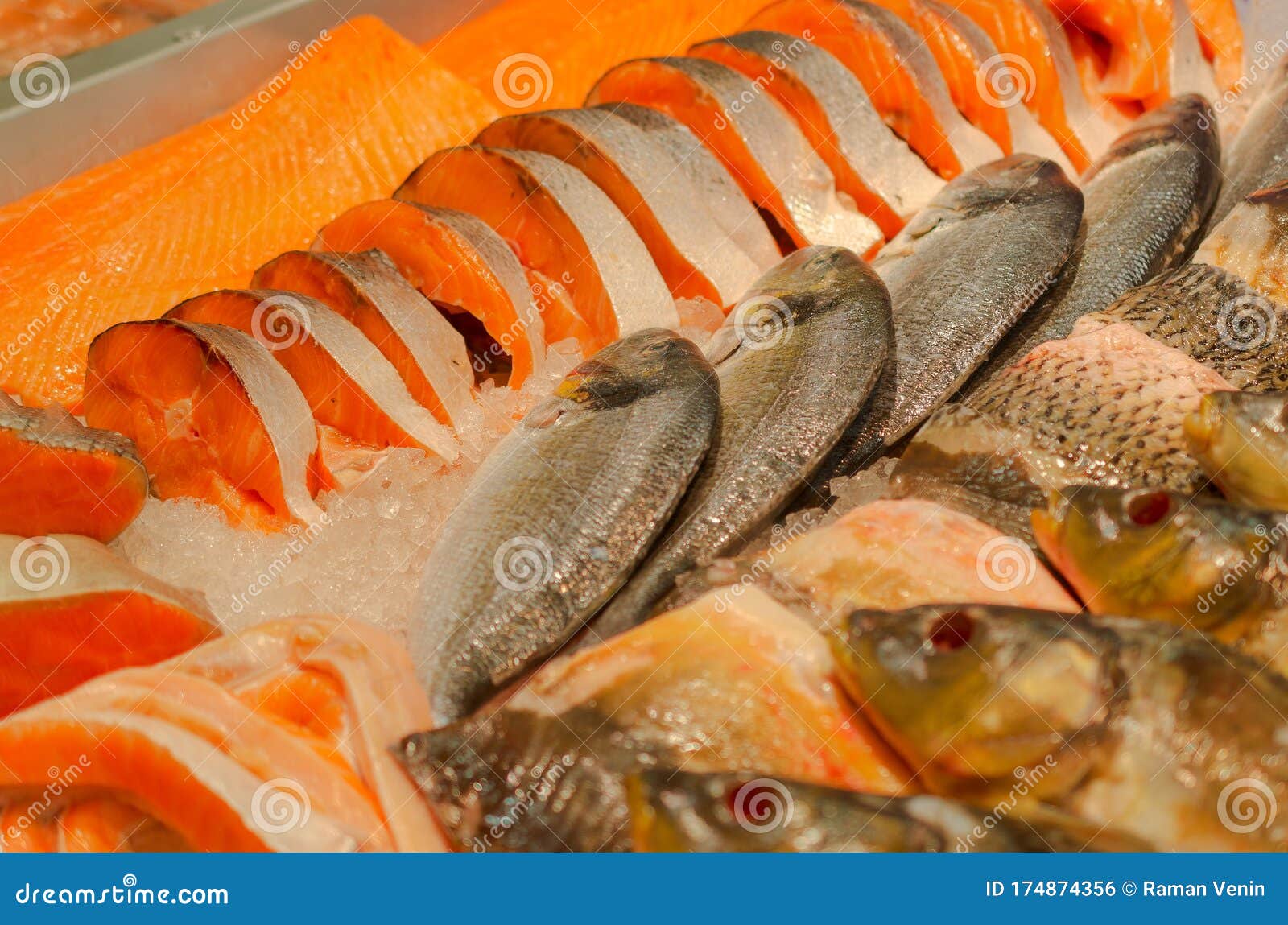 Frozen Fish on the Counter of the Store. Stock Photo Image of food