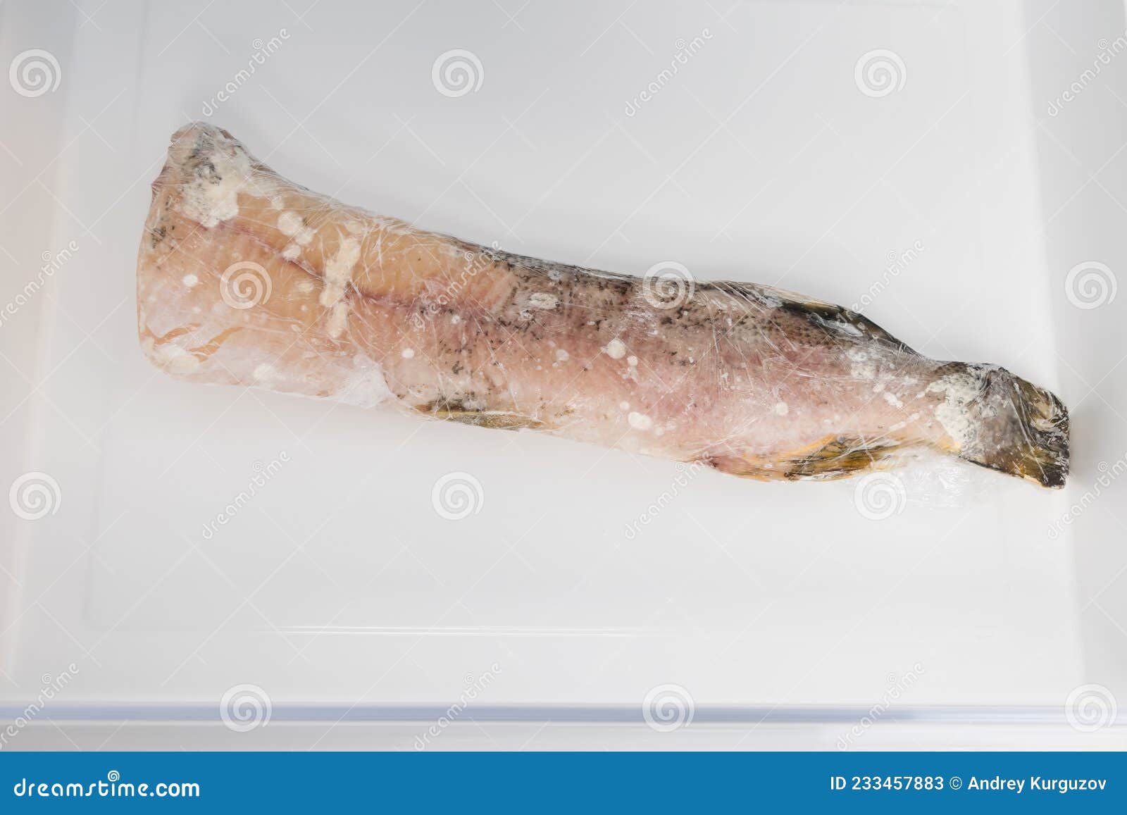 Frozen Fish in the Freezer Drawer, Close Up Stock Image Image of meal