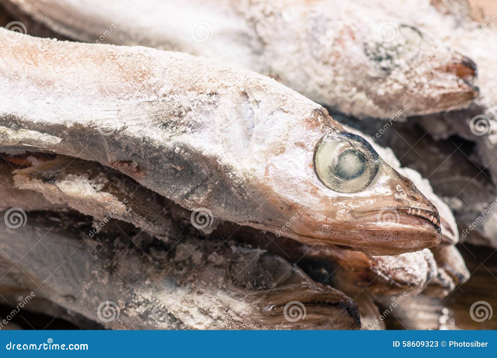 Frozen fish head closeup stock image. Image of tilapia 58609323