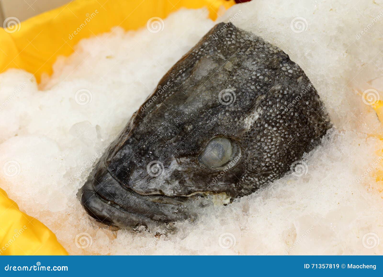 Frozen fish head stock image. Image of nature, cuisine 71357819