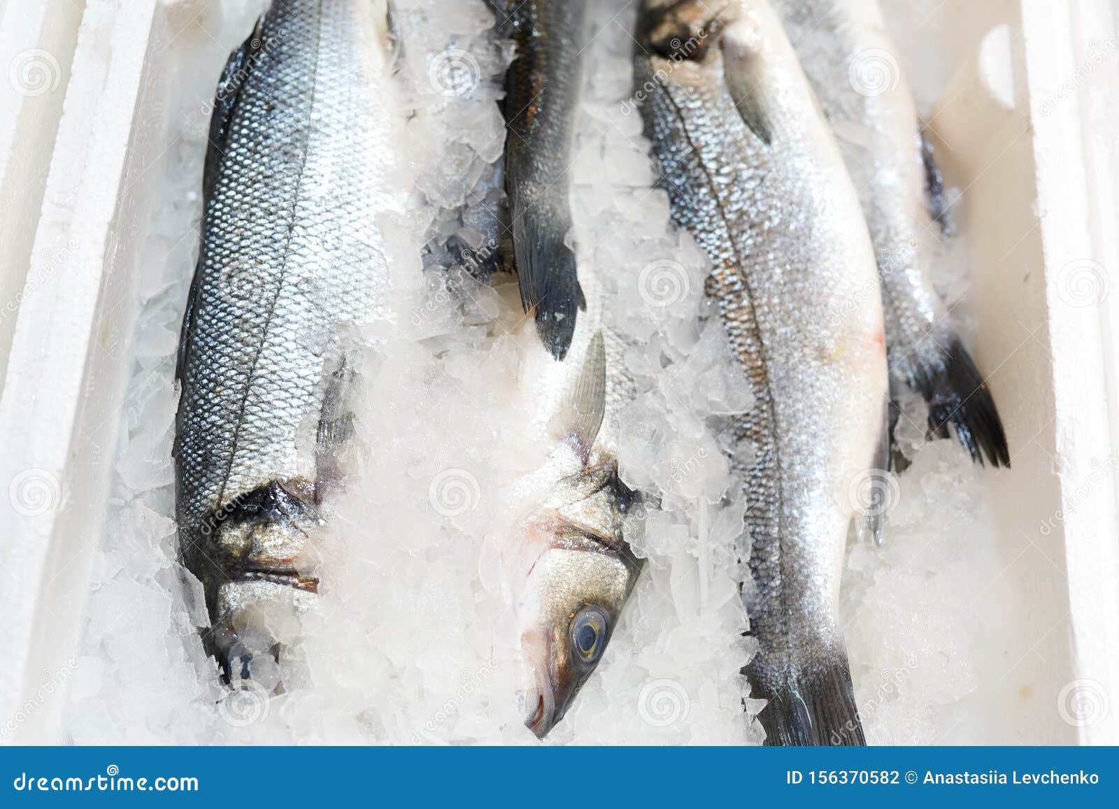 Frozen Fish in Ice on the Counter in the Store Stock Photo Image of