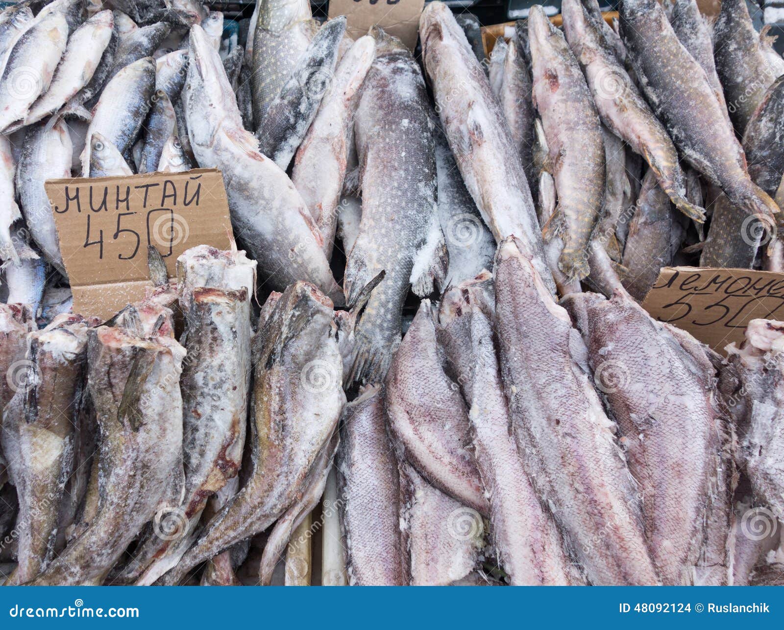 Frozen fish stock photo. Image of fresh, salt, assortment 48092124
