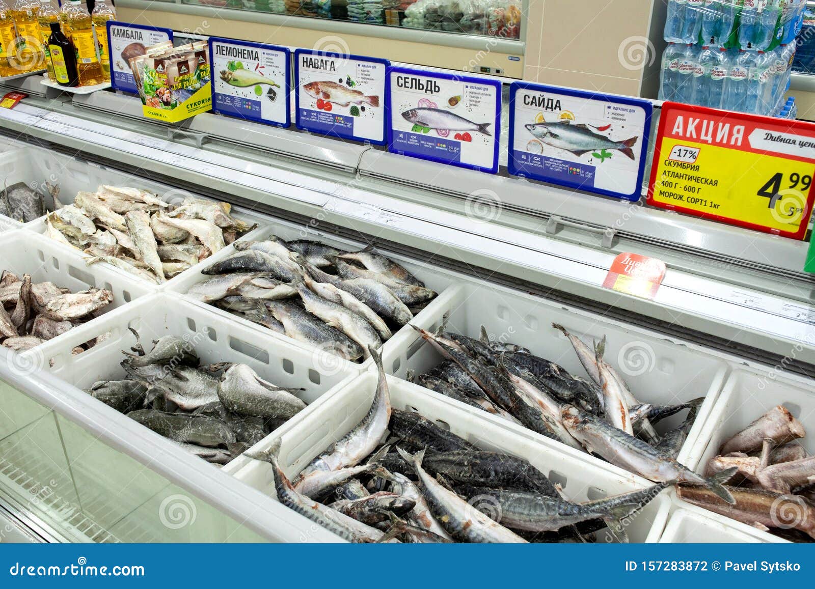 MINSK, BELARUS August 28, 2019 Frozen Fish in the Refrigerator of