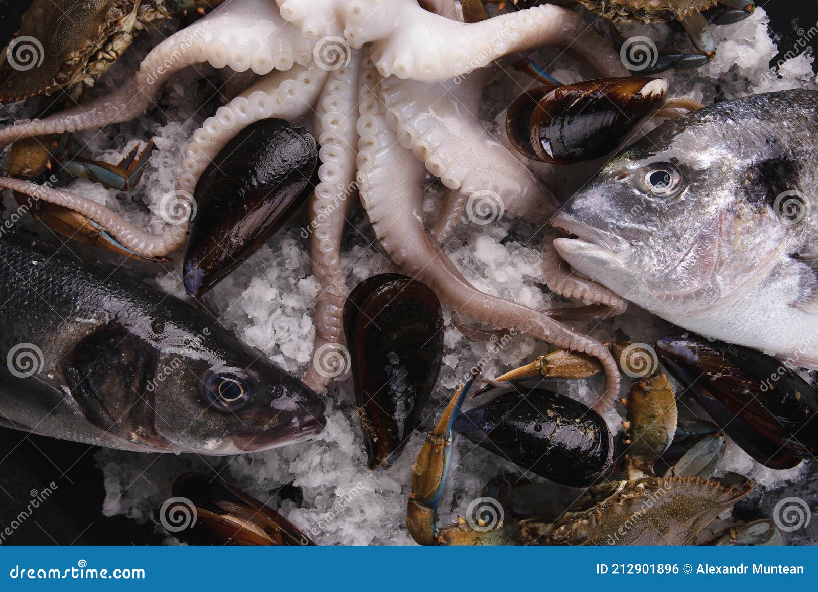 Frozen fish and seafood stock photo. Image of bass, menu 212901896