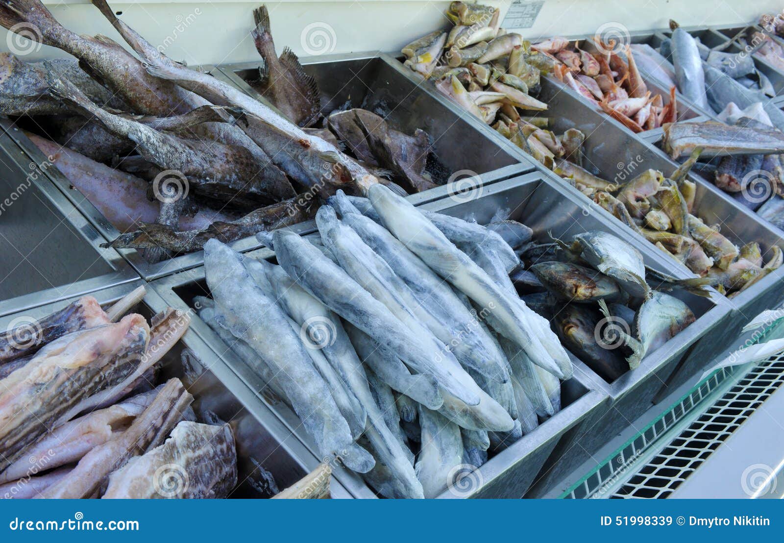 Frozen fish stock image. Image of hake, halibut, seabass 51998339