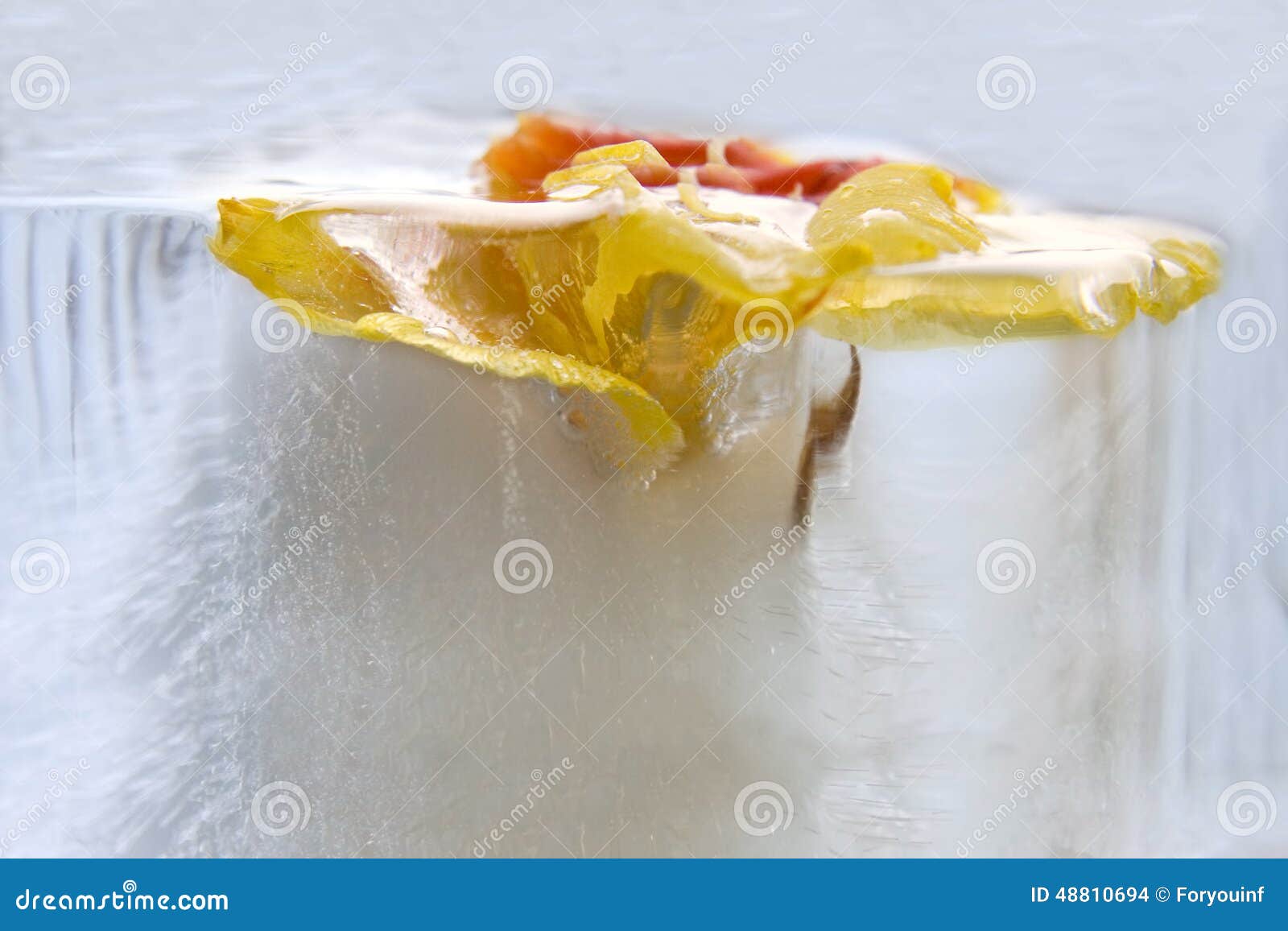 Frozen flower of gladiolus stock photo. Image of bouquet 48810694