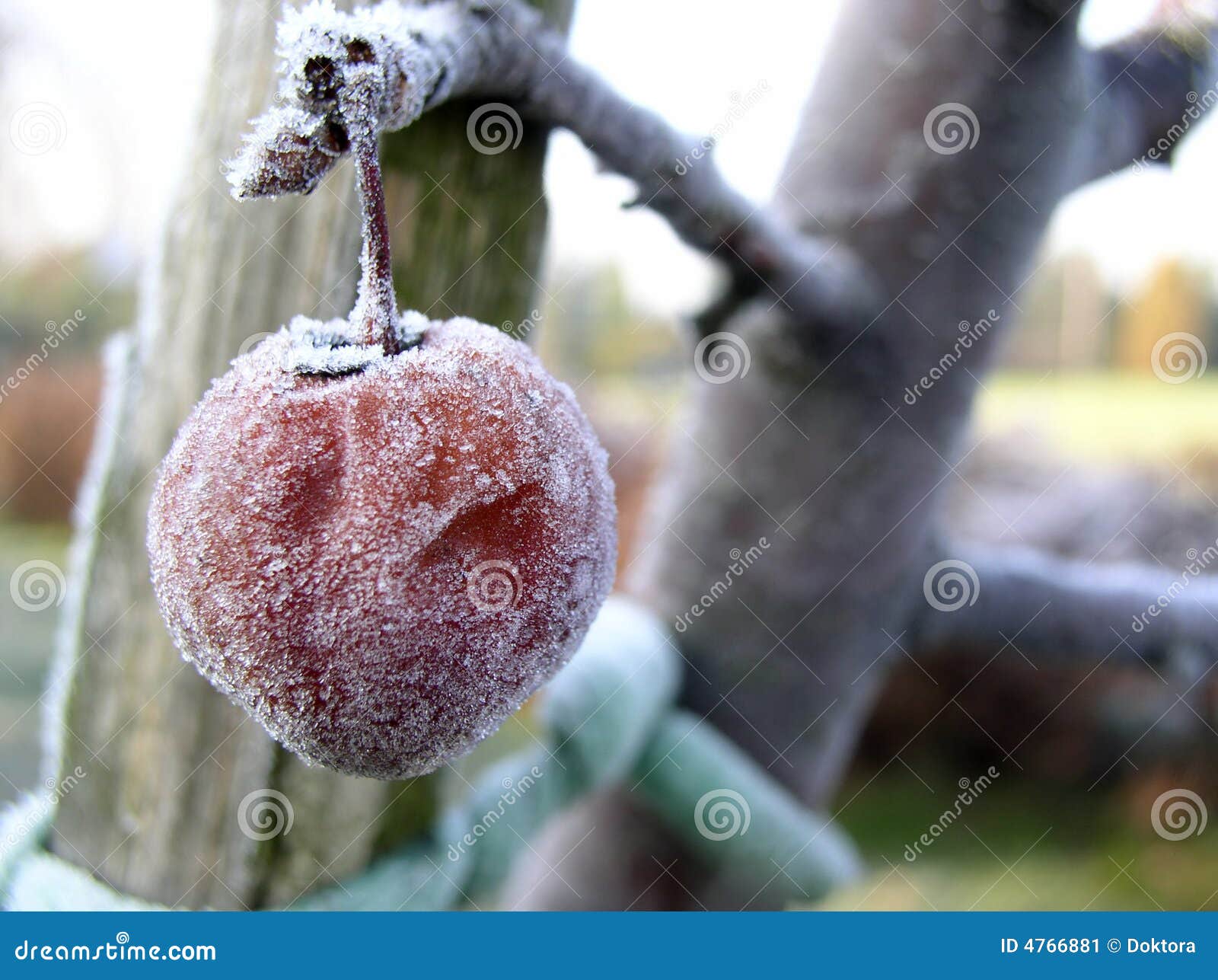 https://thumbs.dreamstime.com/z/frozen-fruits-02-4766881.jpg