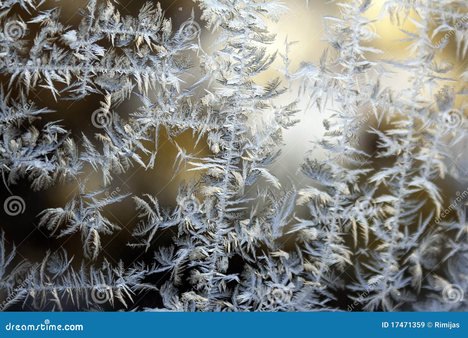 Frozen glass stock image. Image of abstract, flowers 17471359