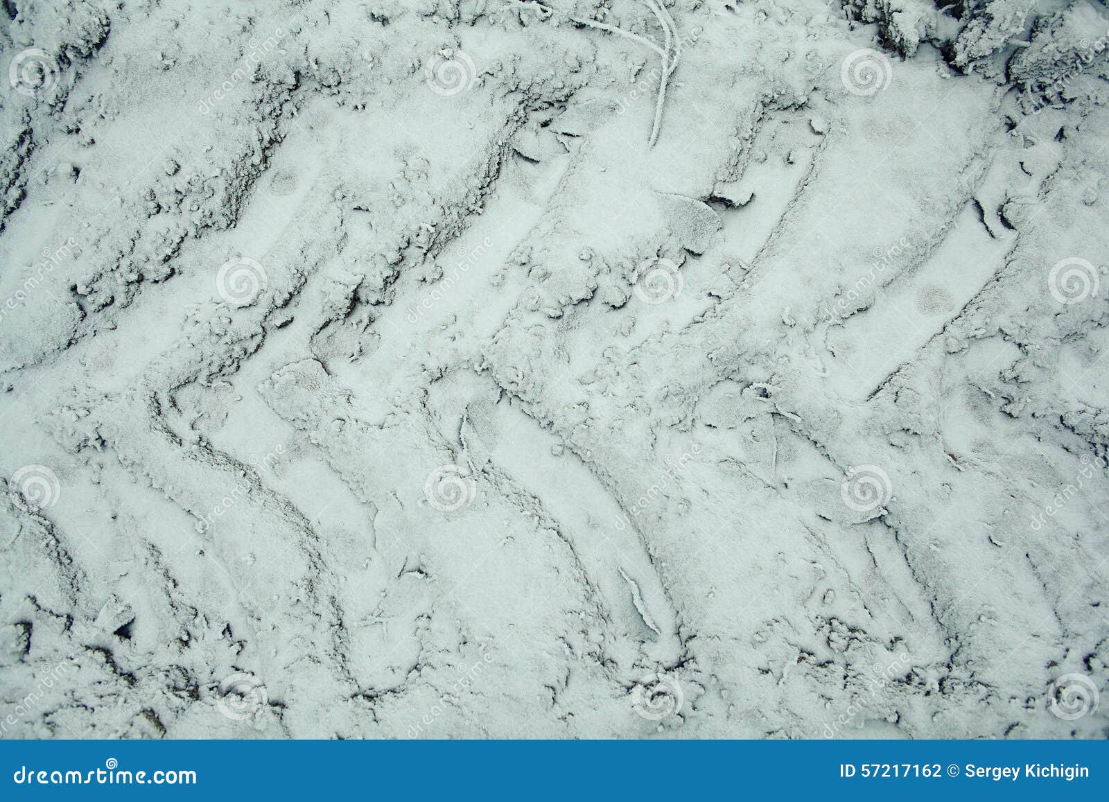 Frozen grass stock photo. Image of garden, frosty, frost 57217162