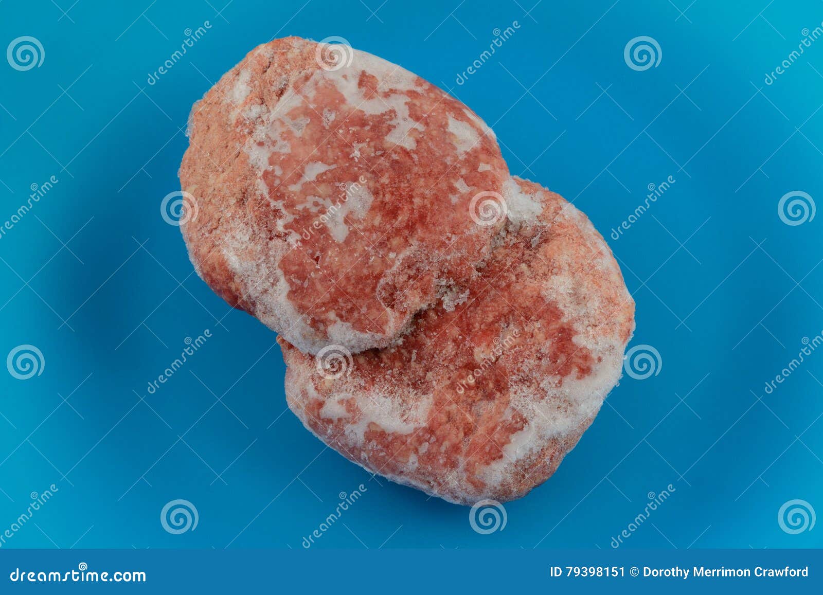 Frozen Hamburger patties stock image. Image of meal, hamburger 79398151