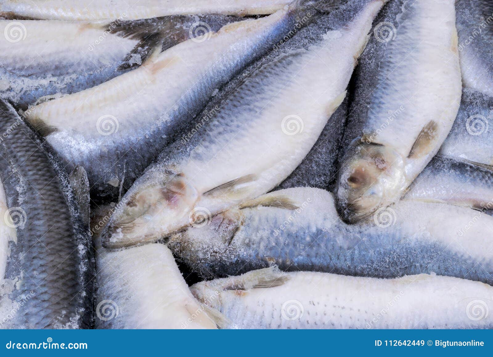 Frozen Herring. Frozen Group Of Fish. Iced Atlantic Fish. Herrings