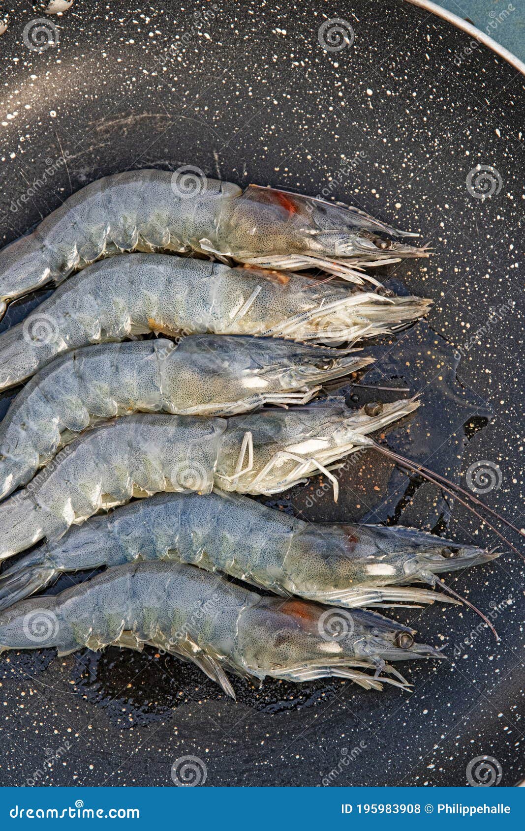 Frozen King Prawn in a Frying Pan Editorial Stock Photo Image of