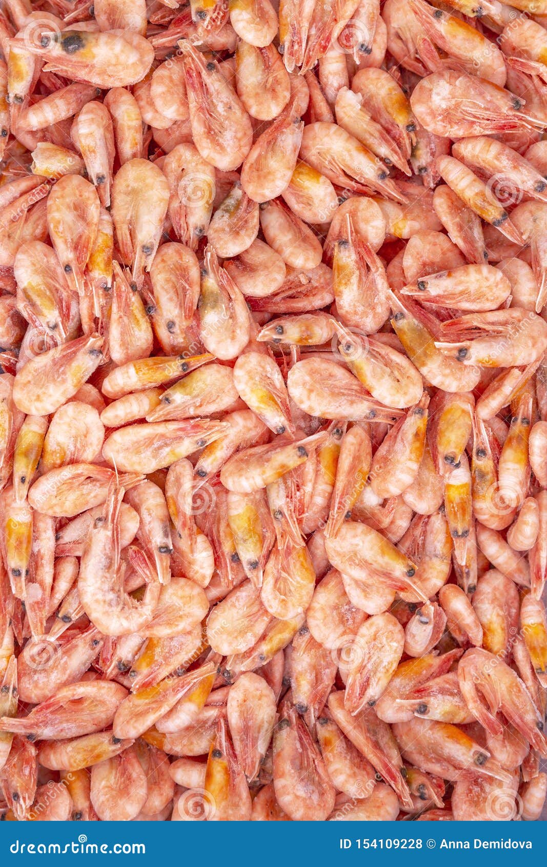 Frozen King Prawns in a Supermarket. Closeup. Space for Text Stock
