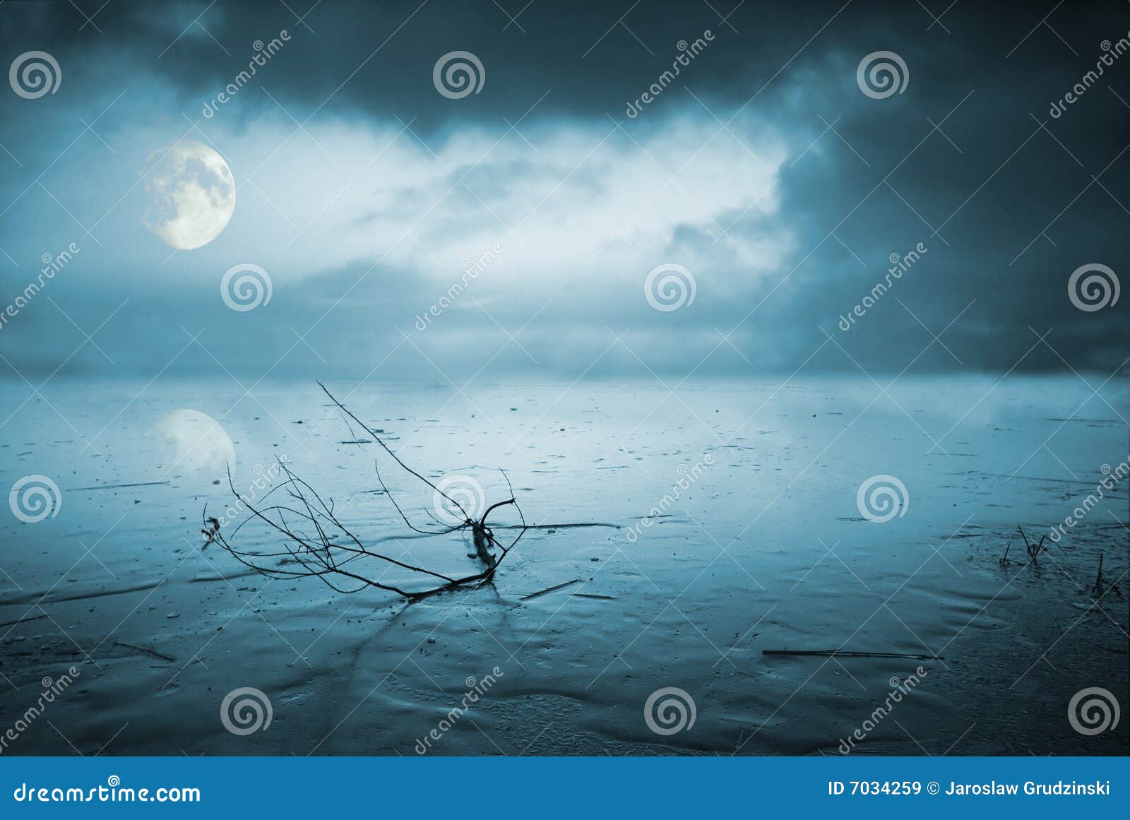 frozen lake in moonlight