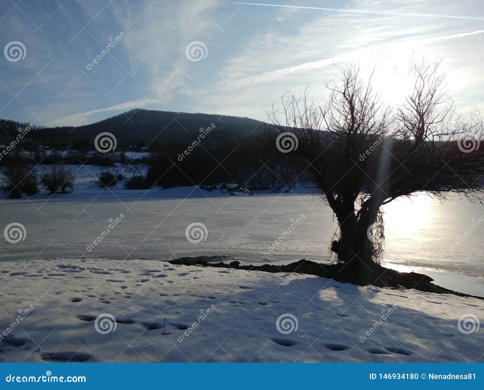 frozen lake view in winterscape