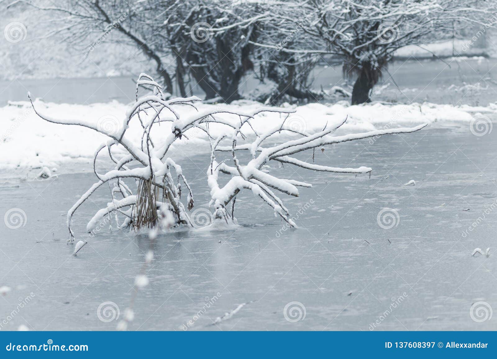 Frozen Lake in Winter, Winter Lake Scene Stock Image Image of