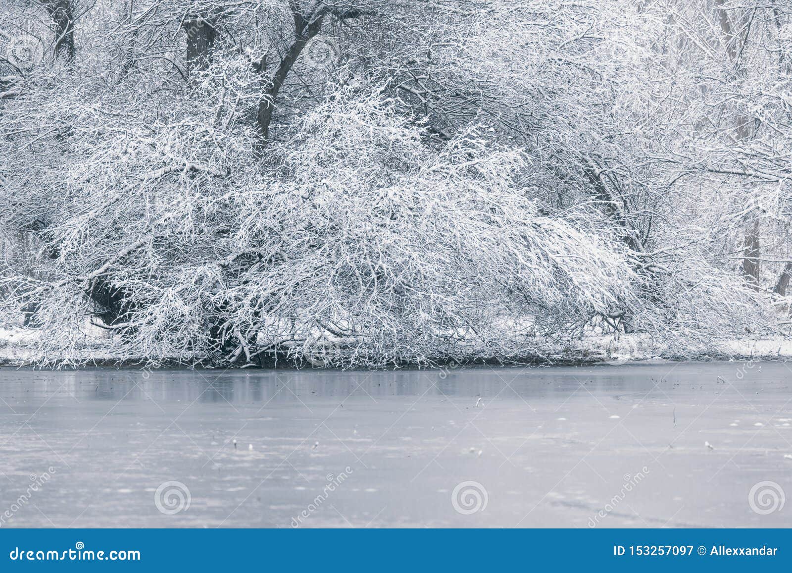 Frozen Lake in Winter, Winter Lake Scene Stock Image Image of snowy