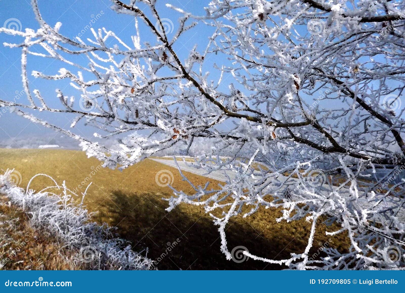 frozen landscape in piedmont during winter