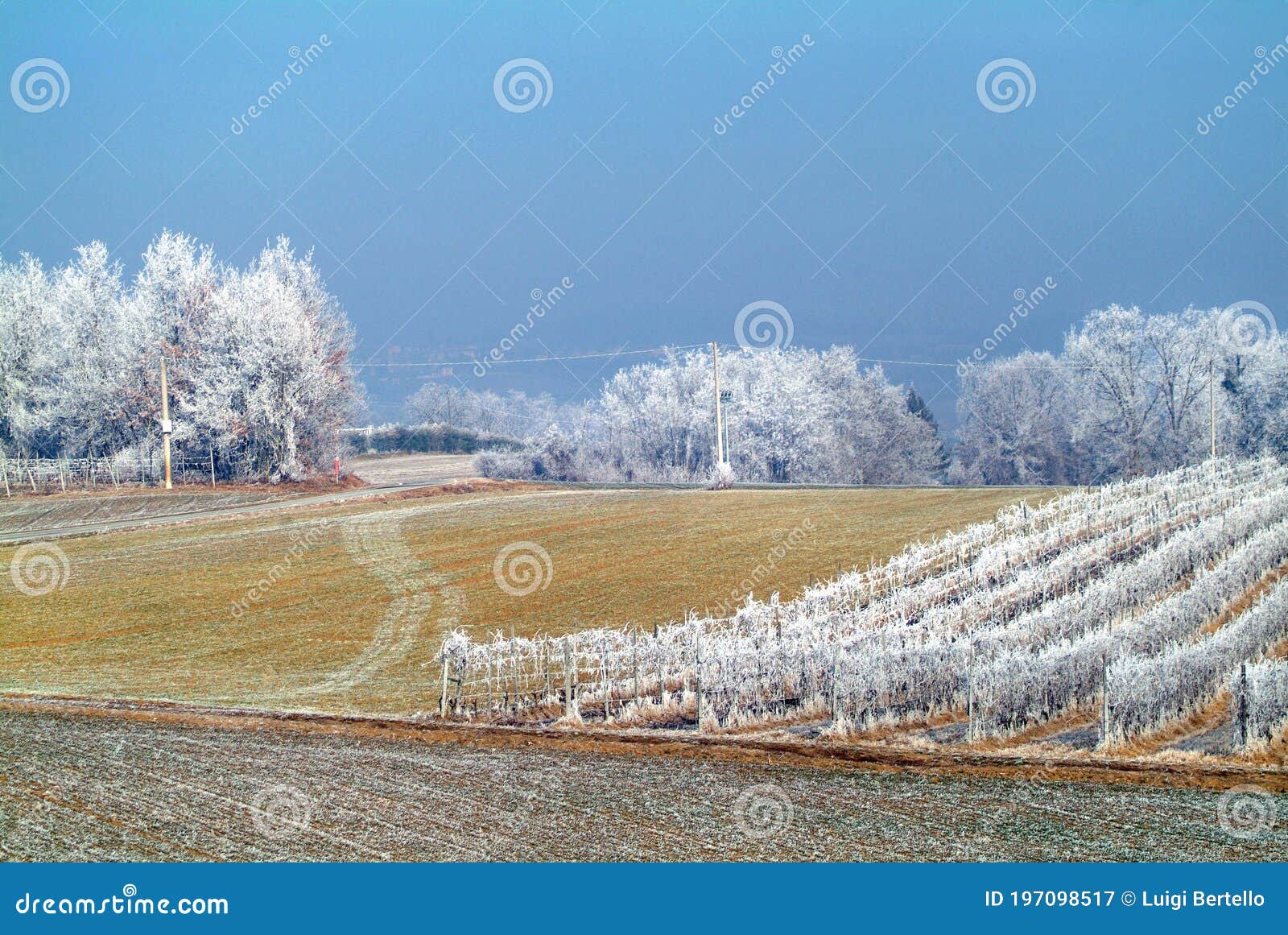 frozen landscape in piedmont during winter