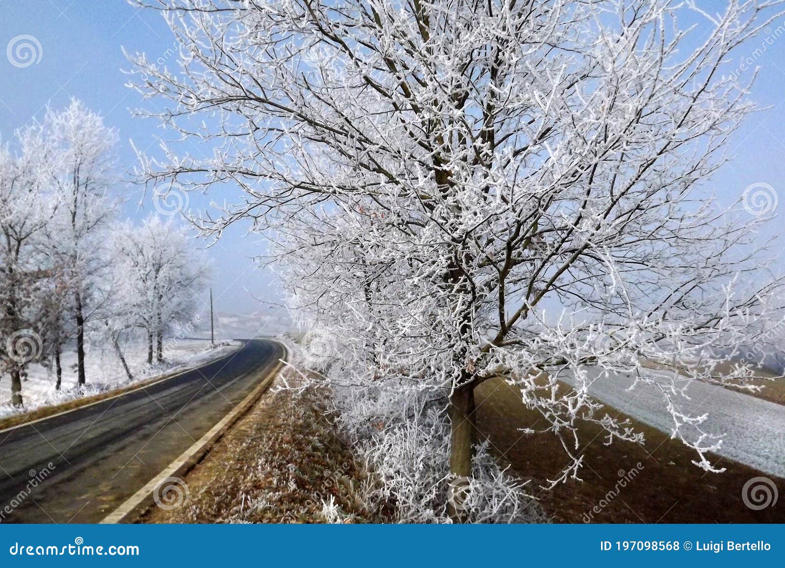 frozen landscape in piedmont during winter