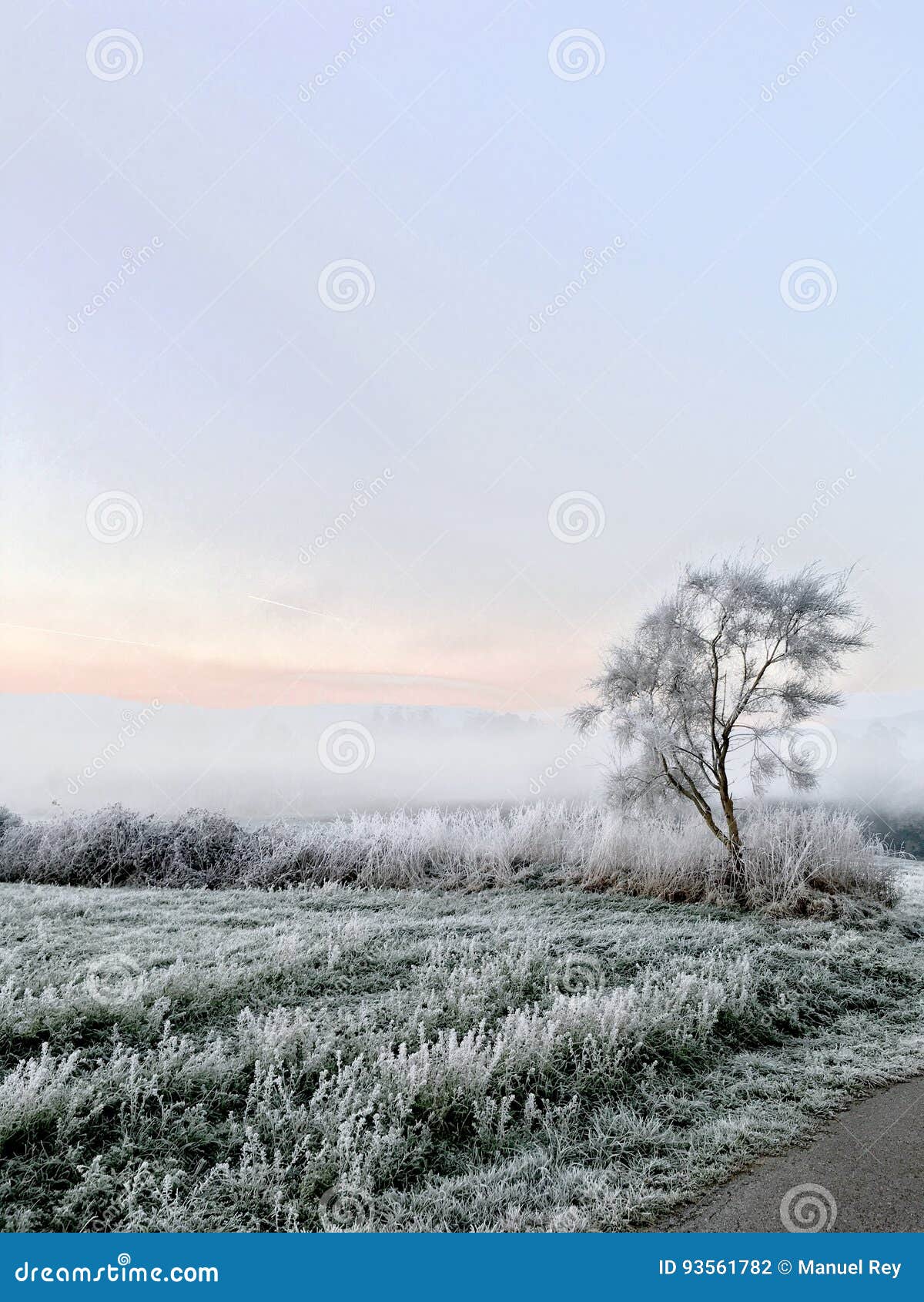 paisaje helado