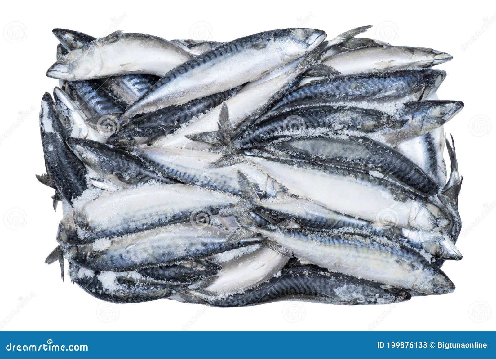 Frozen Mackerel Isolated. Frozen Group of Fish. Iced Fish. Heap of