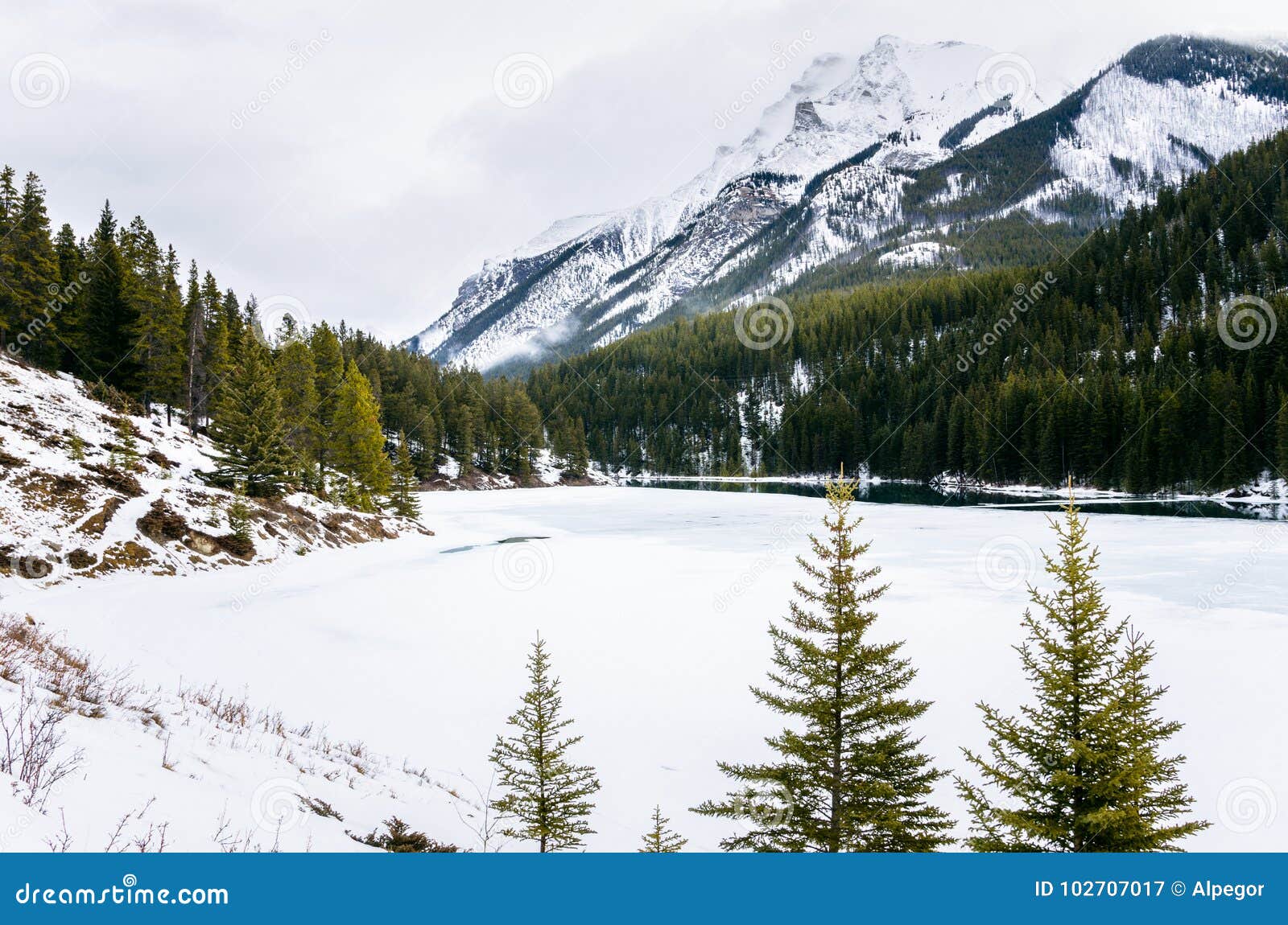 Frozen Mountain Lake in Winter Stock Image - Image of forest, rock:  102707017
