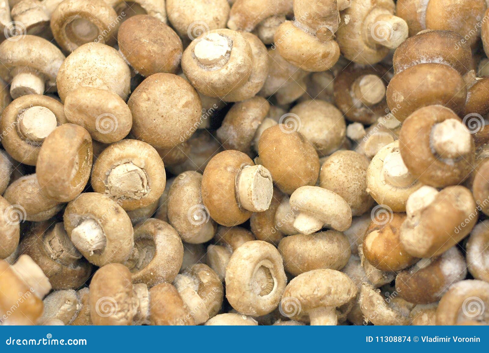 Frozen mushrooms stock photo. Image of mushrooms, heap 11308874