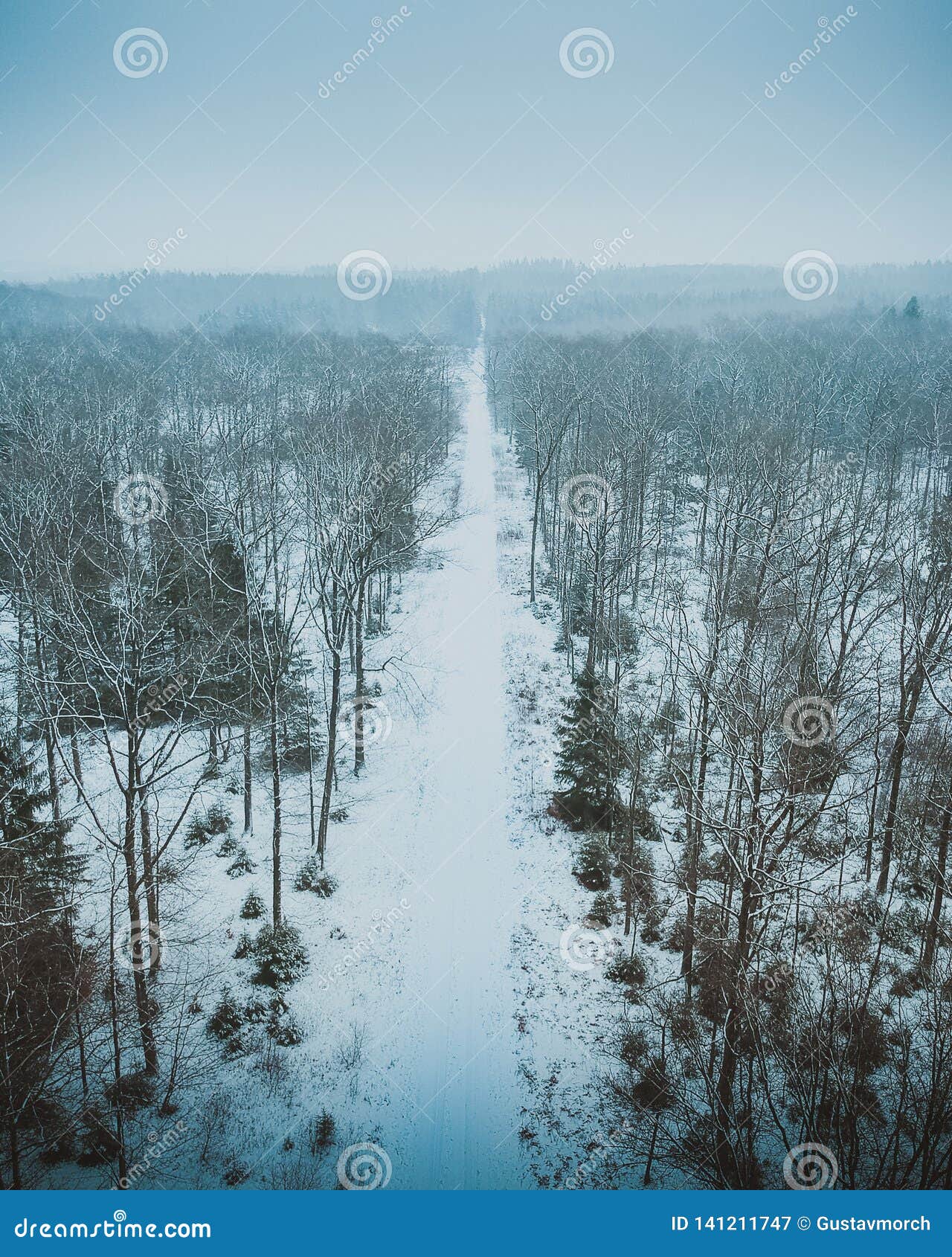 the frozen par force landscape in north zealand, denmark, which is on unesco.