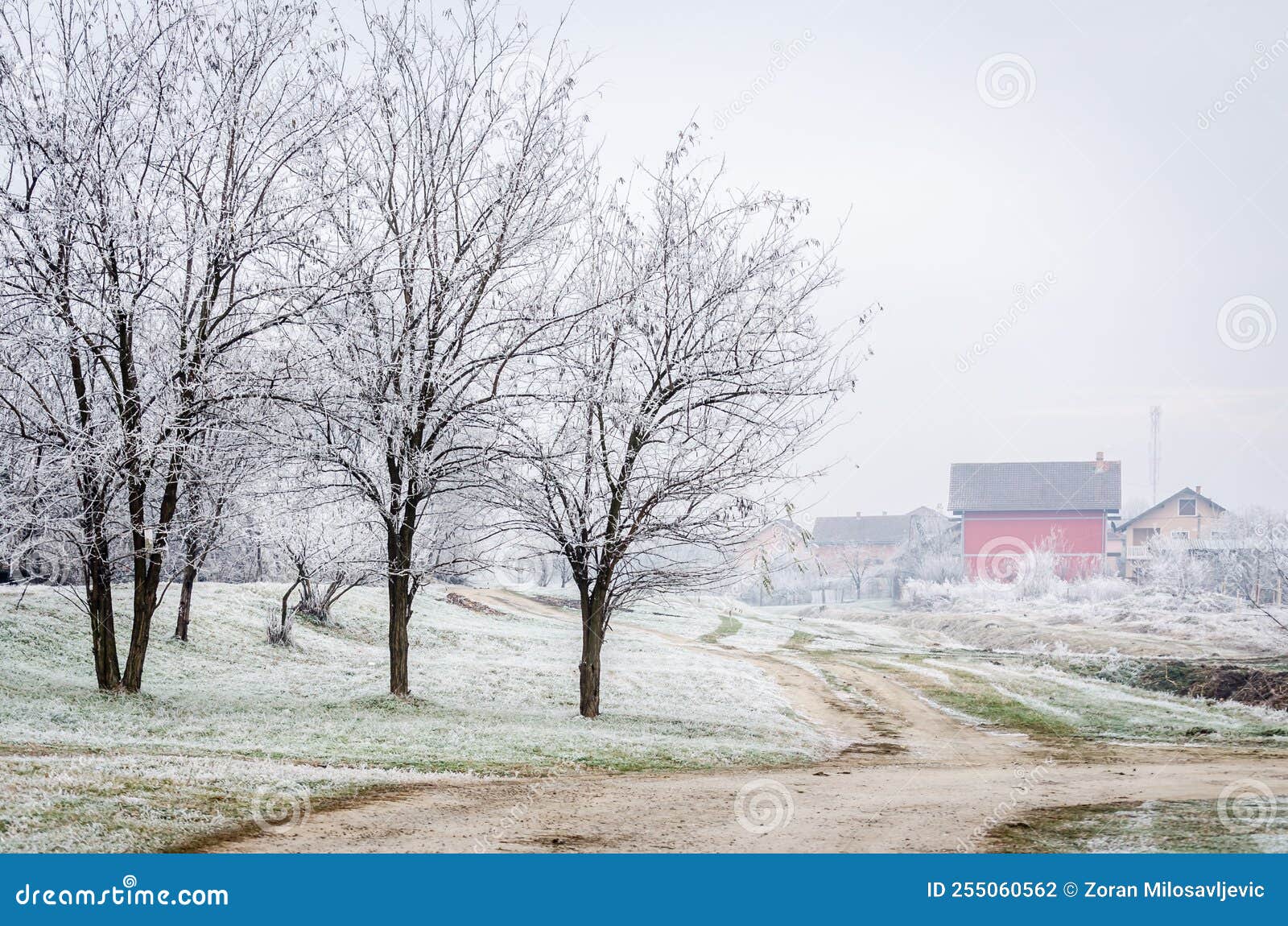 Frozen Plants in the Fall. the First Frost on Dry Meadow Plants Stock