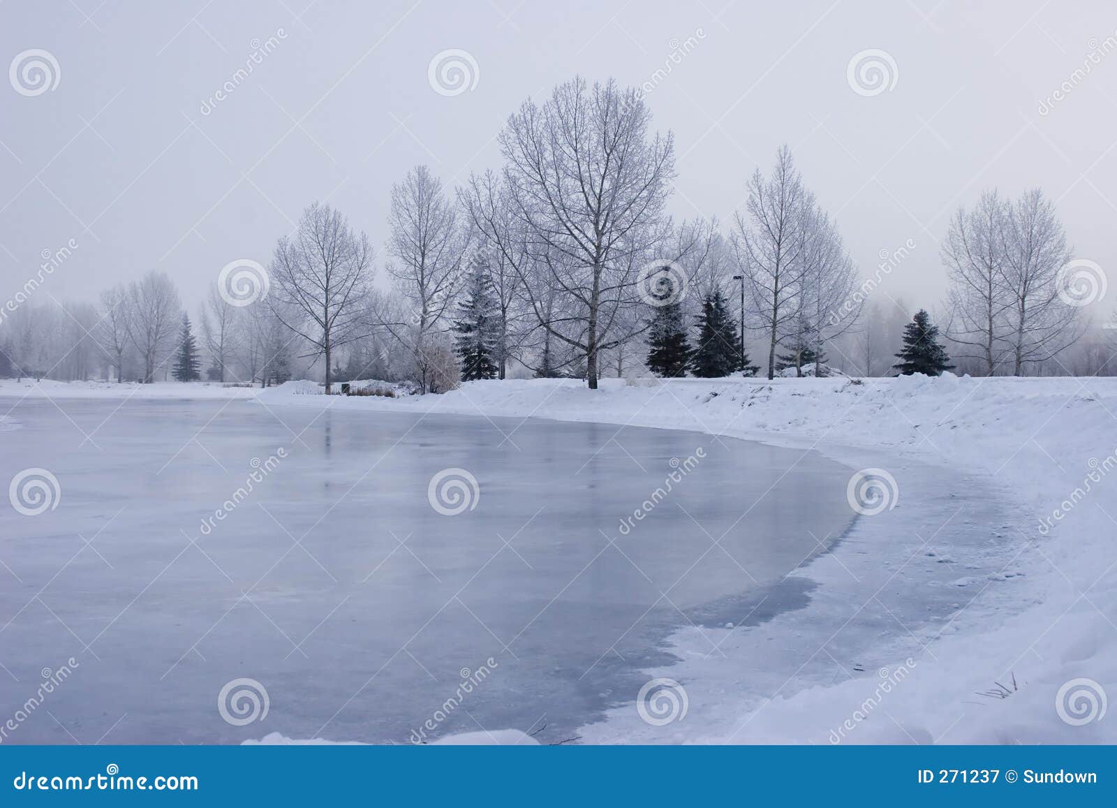 frozen pond
