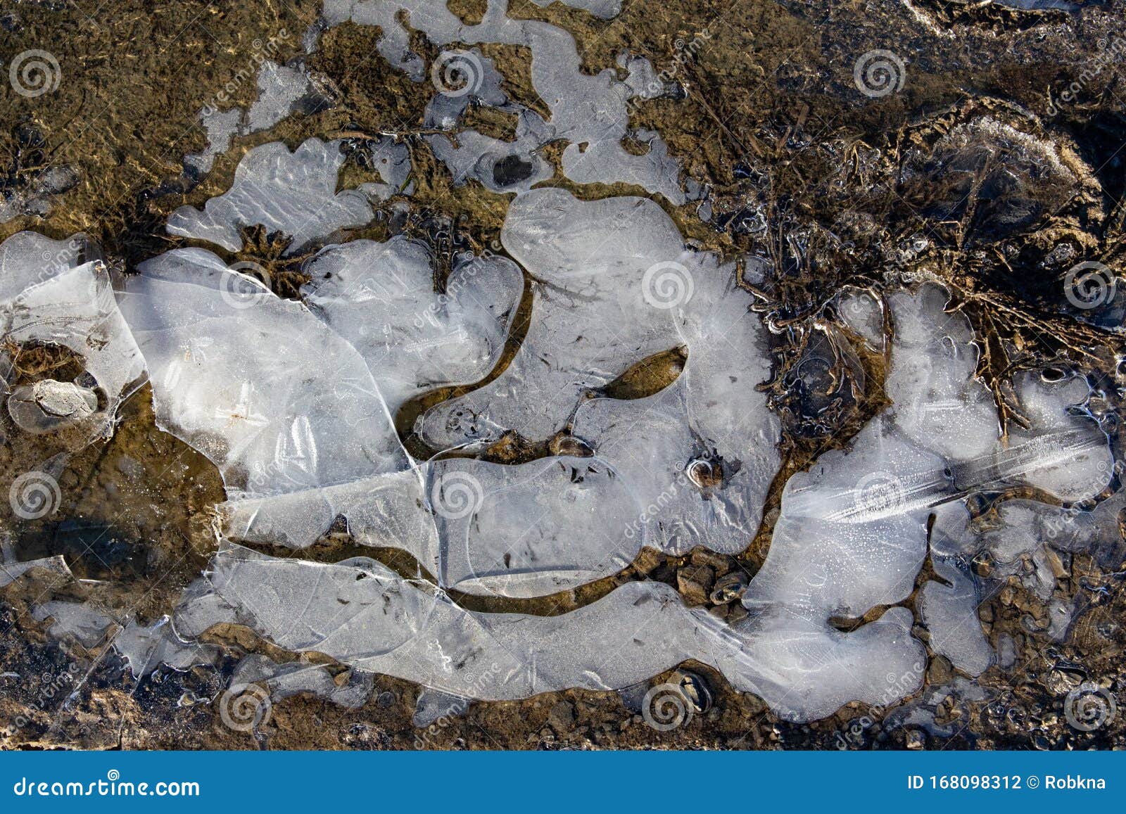 Frozen Puddle with Ice in Winter Stock Photo - Image of backdrop ...