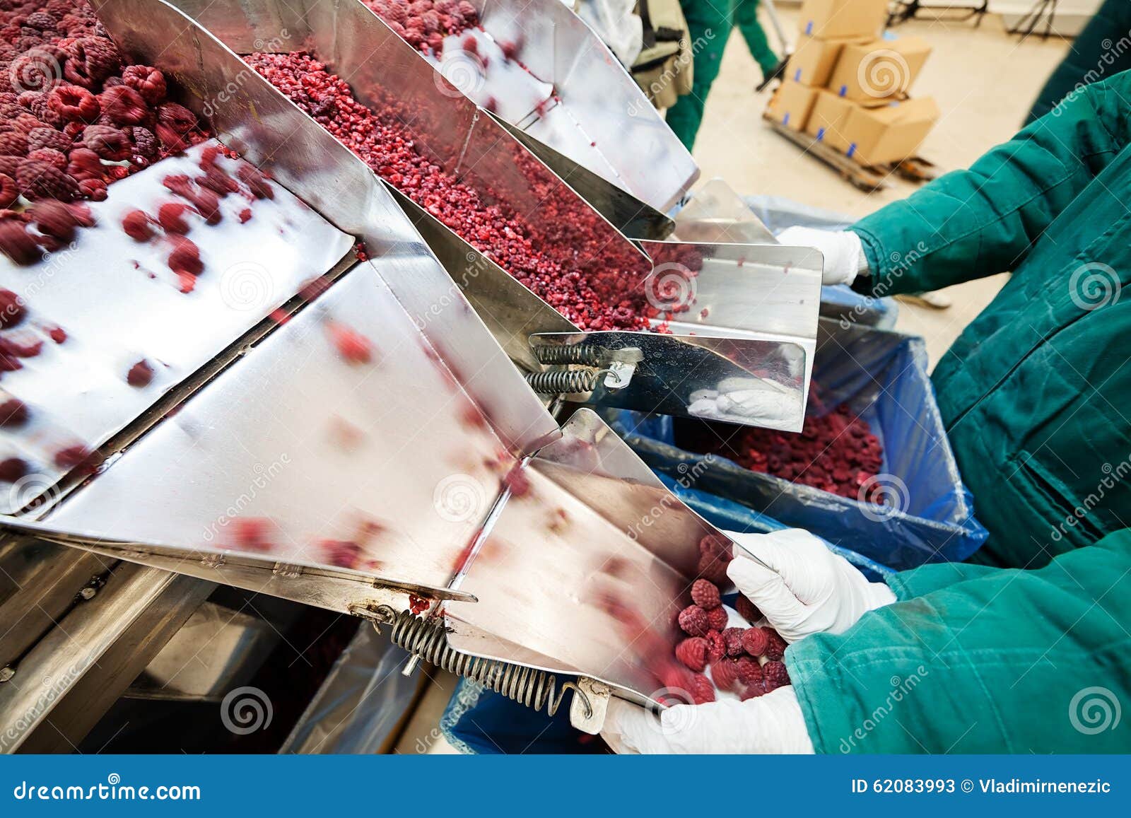 Frozen Raspberry Processing Business Stock Image Image of industrial