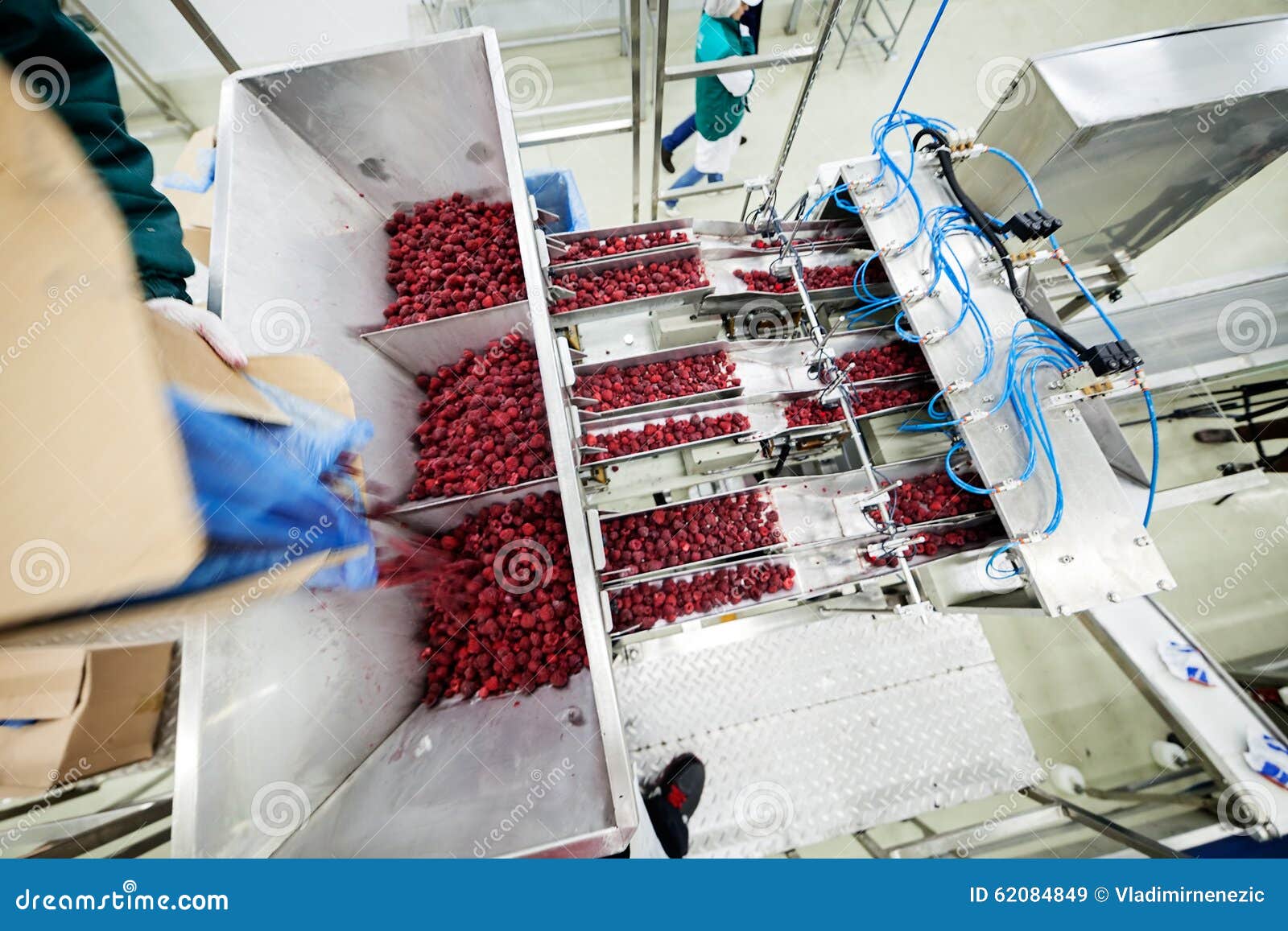 Frozen Raspberry Processing Business Stock Image Image of industry