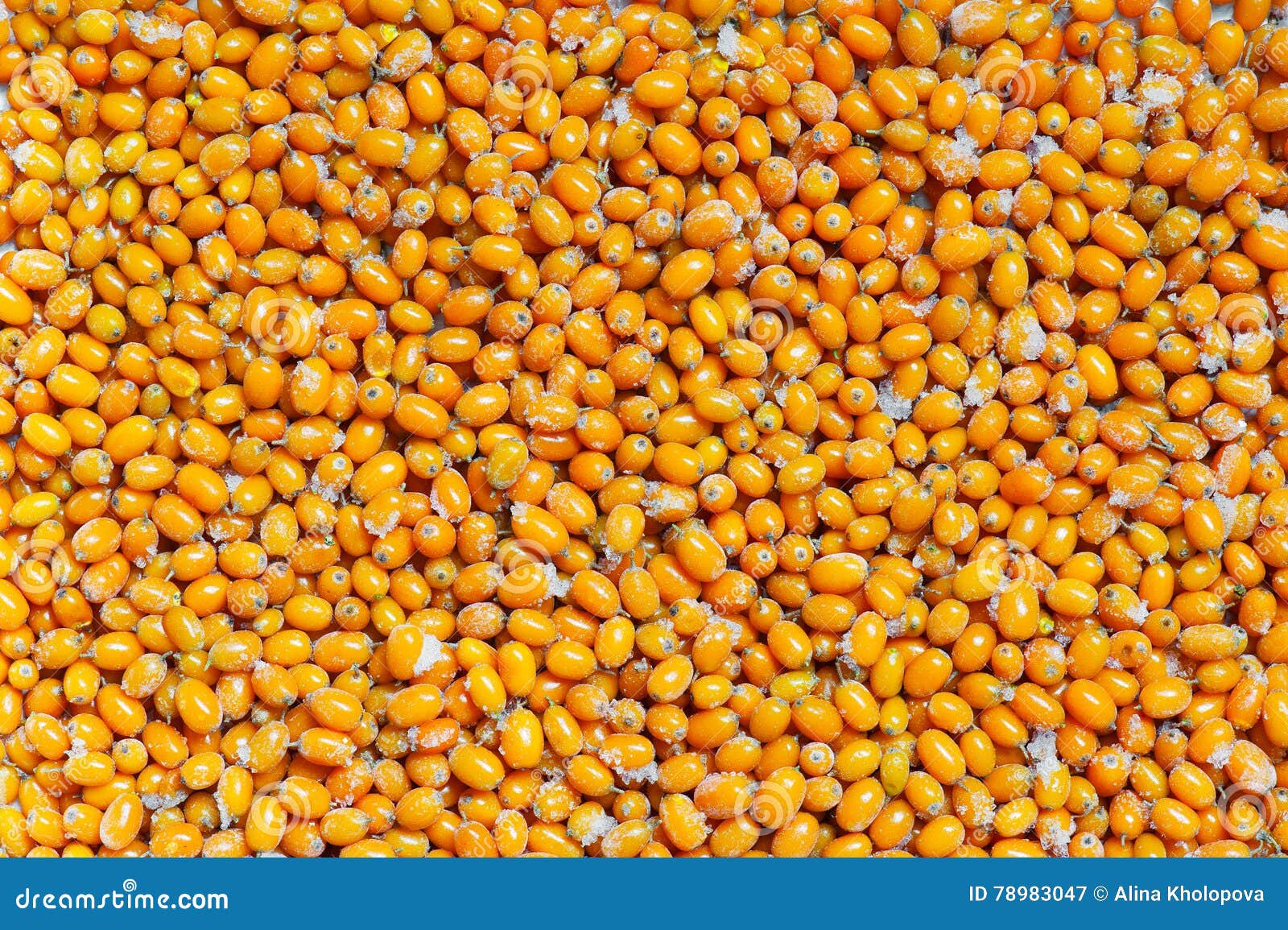 Frozen sea-buckthorn stock image. Image of curing, bright - 78983047