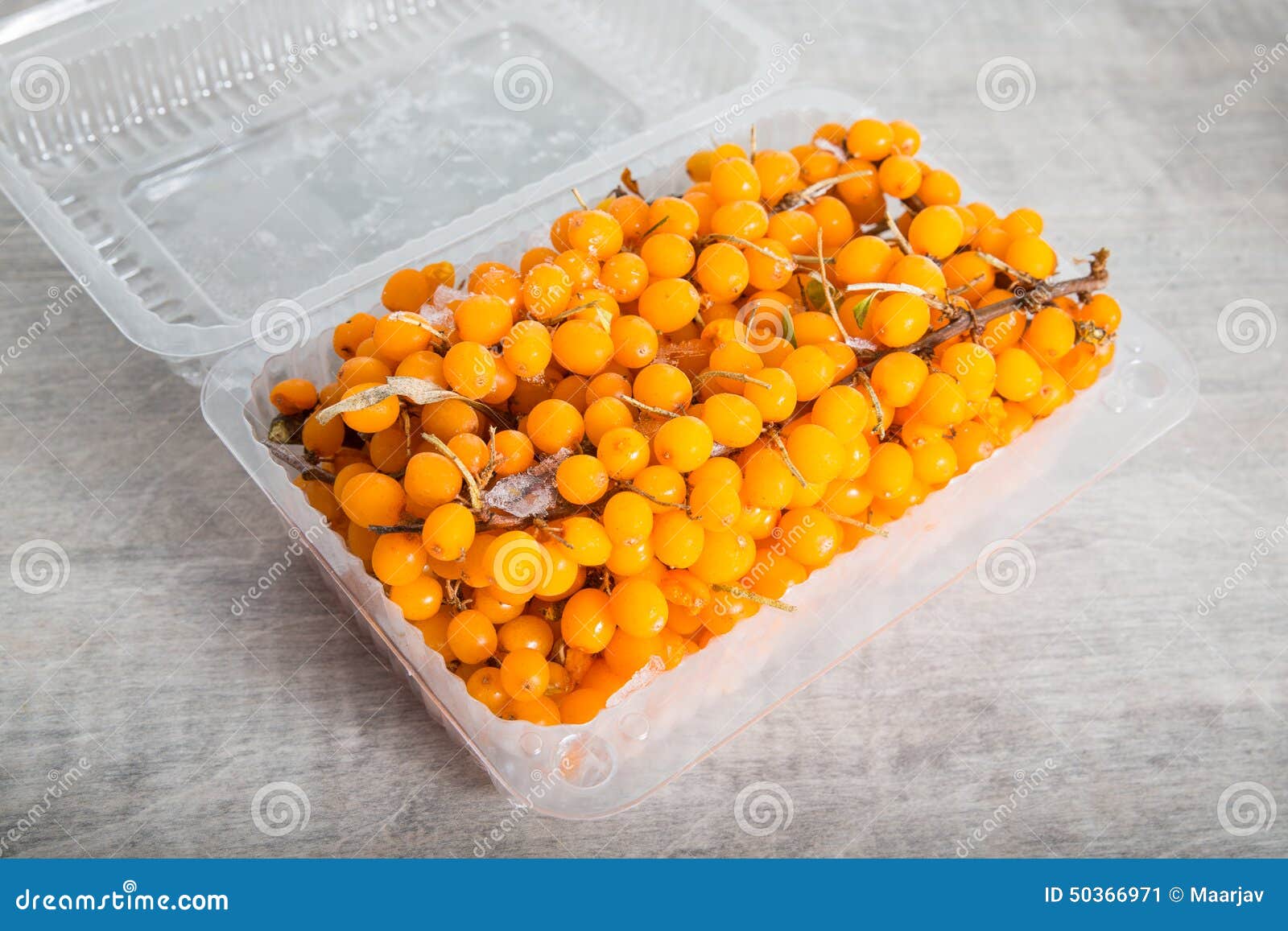 Frozen sea buckthorn stock image. Image of frozen, vitamin - 50366971