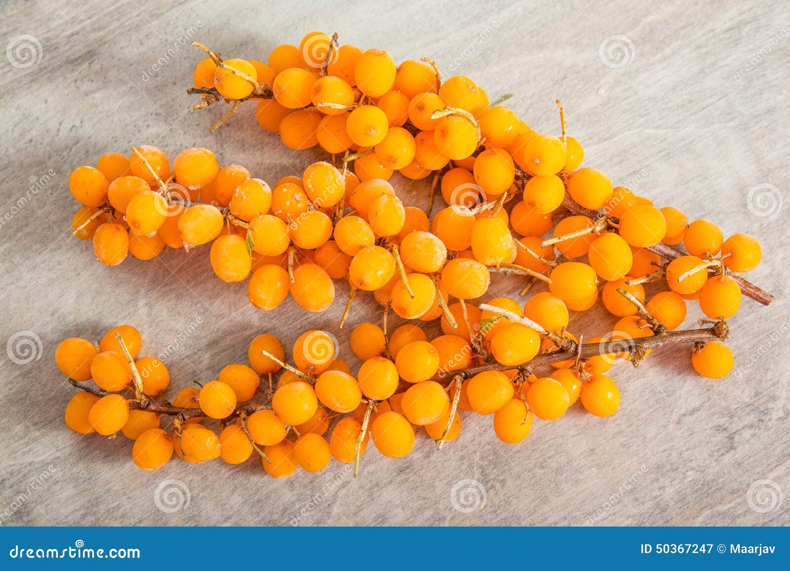 Frozen sea buckthorn stock image. Image of orange, buckthorn - 50367247