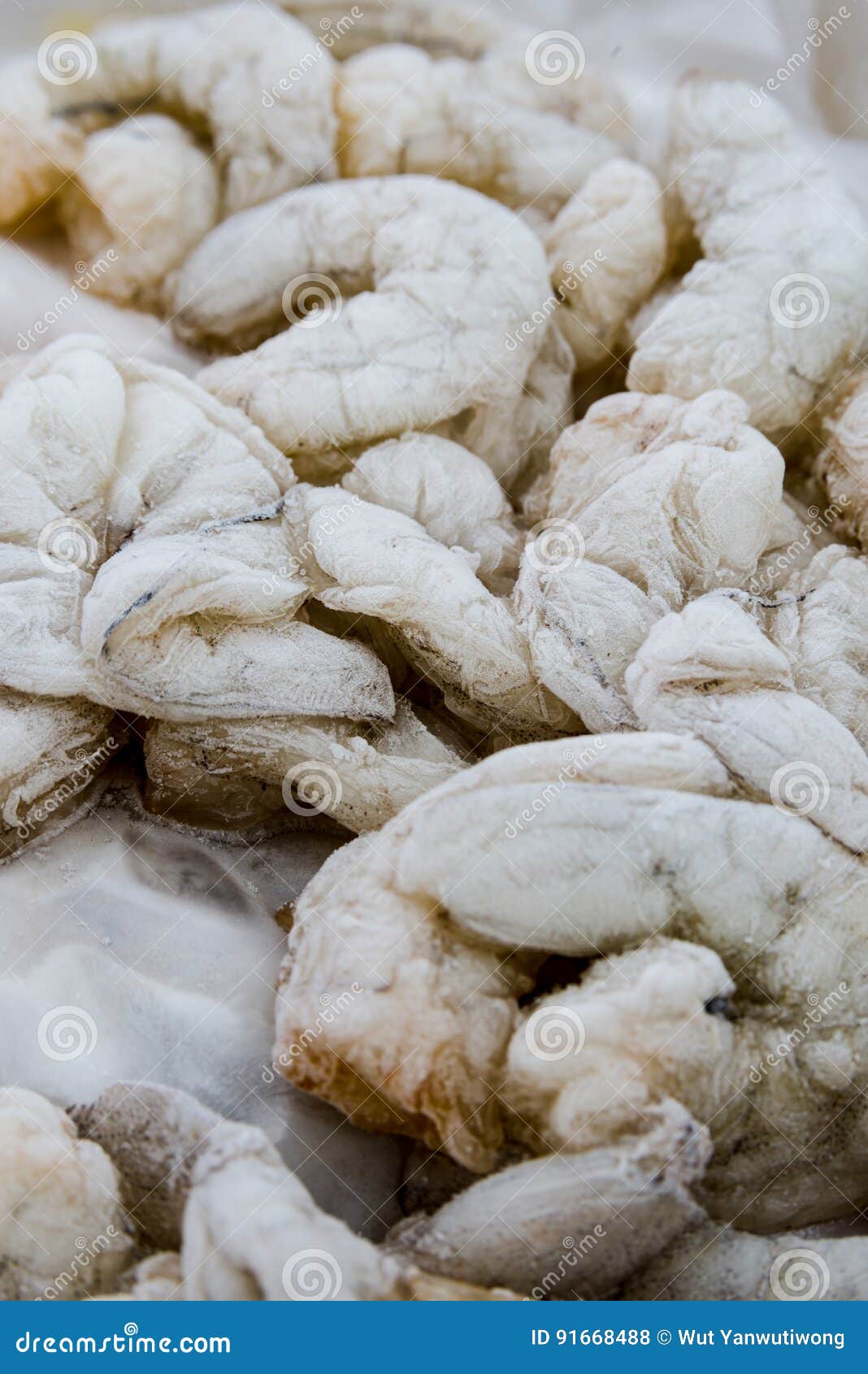 Frozen Shrimp for Cooking Food Stock Photo Image of restaurant